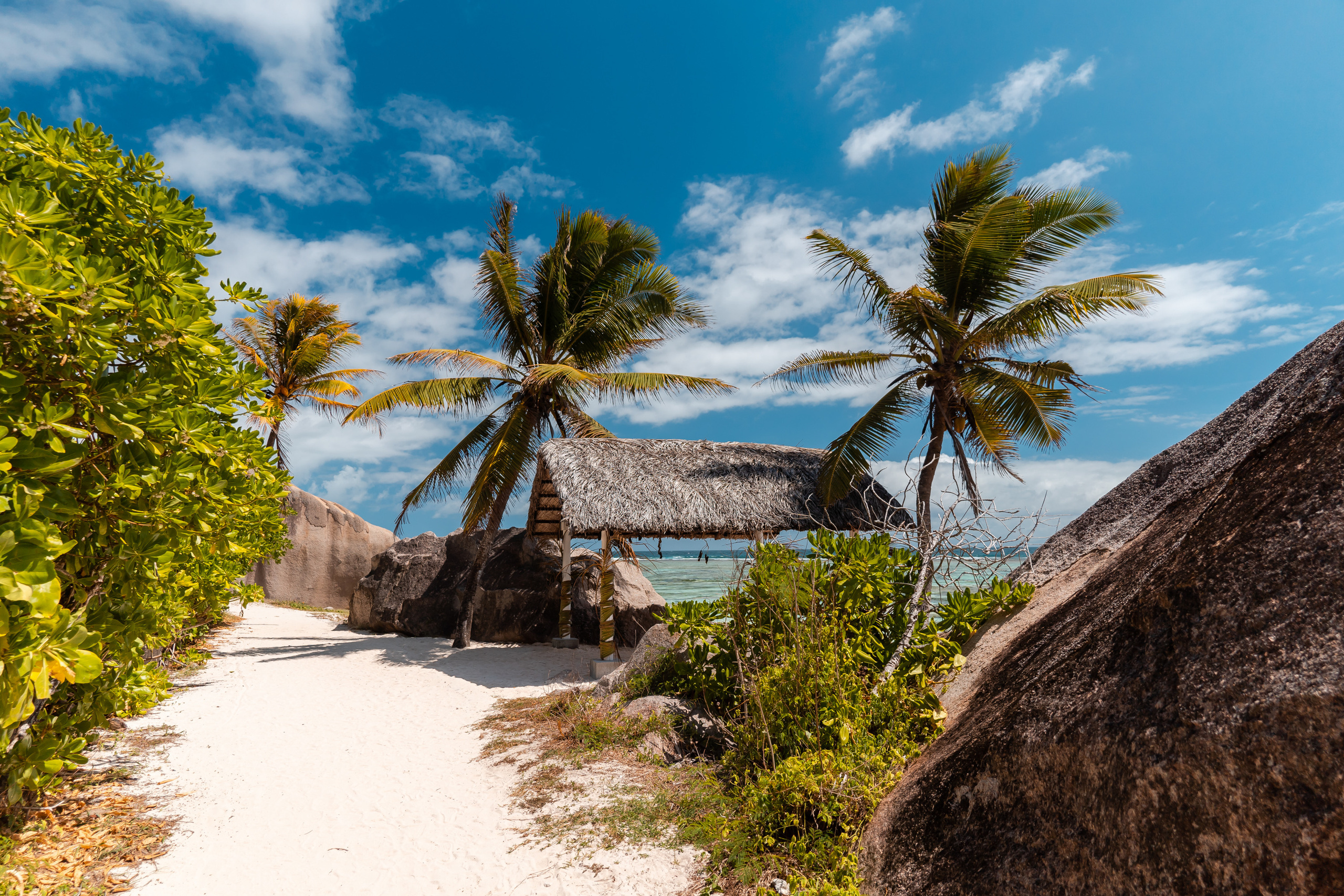 Seychelles. Свадебный и Репортажный фотограф в Москве — Шестак Константин