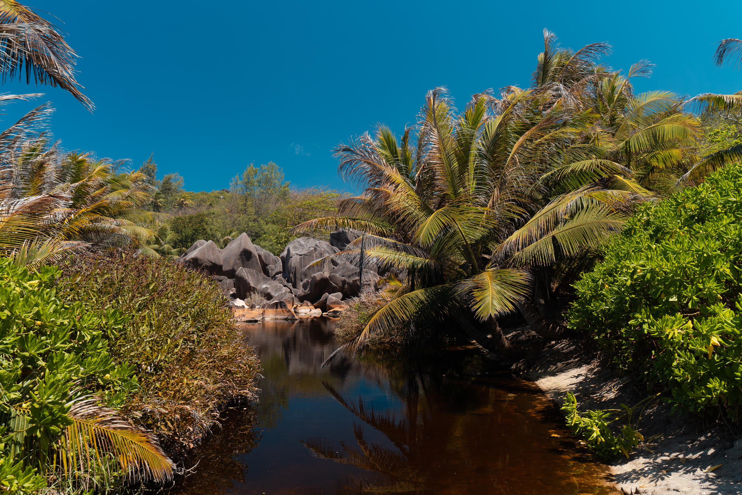 Seychelles. Свадебный и Репортажный фотограф в Москве — Шестак Константин
