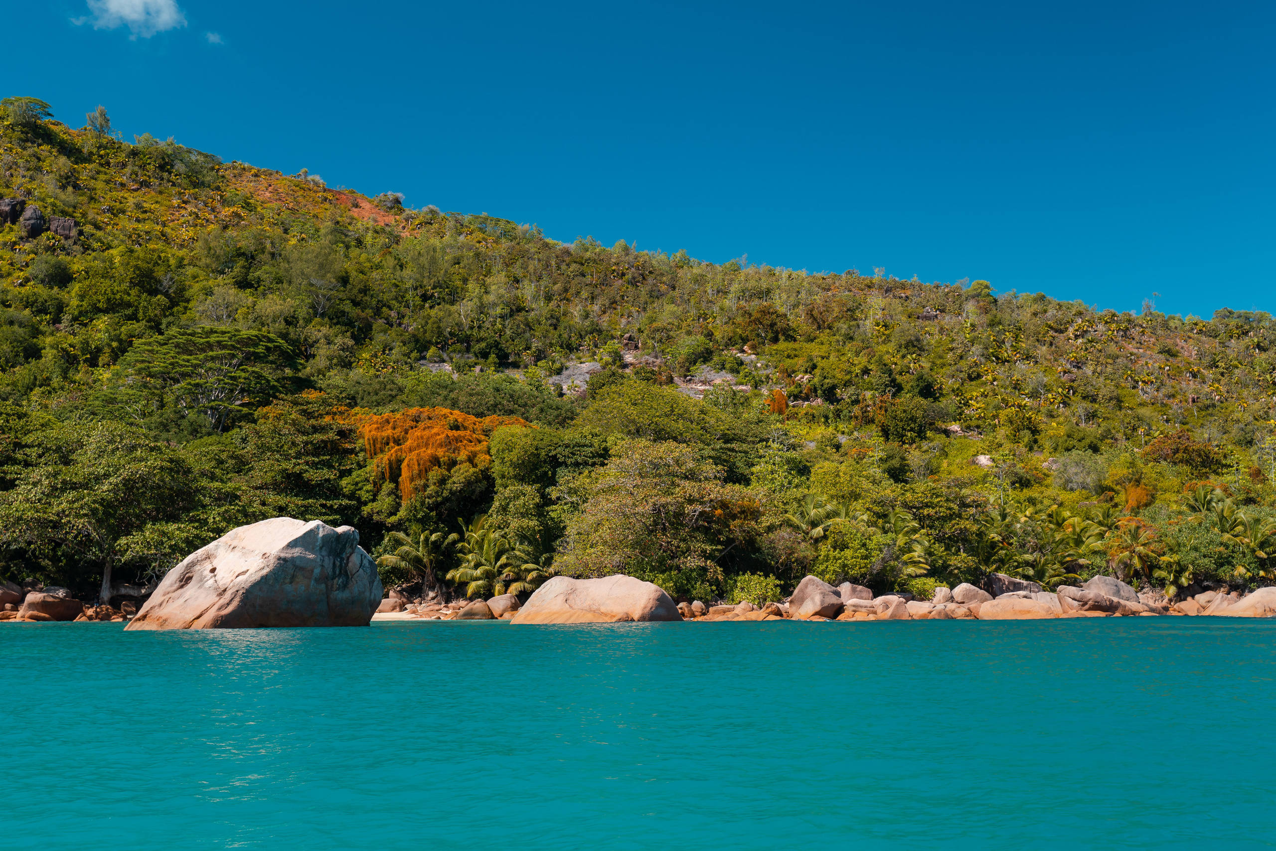 Seychelles. Свадебный и Репортажный фотограф в Москве — Шестак Константин