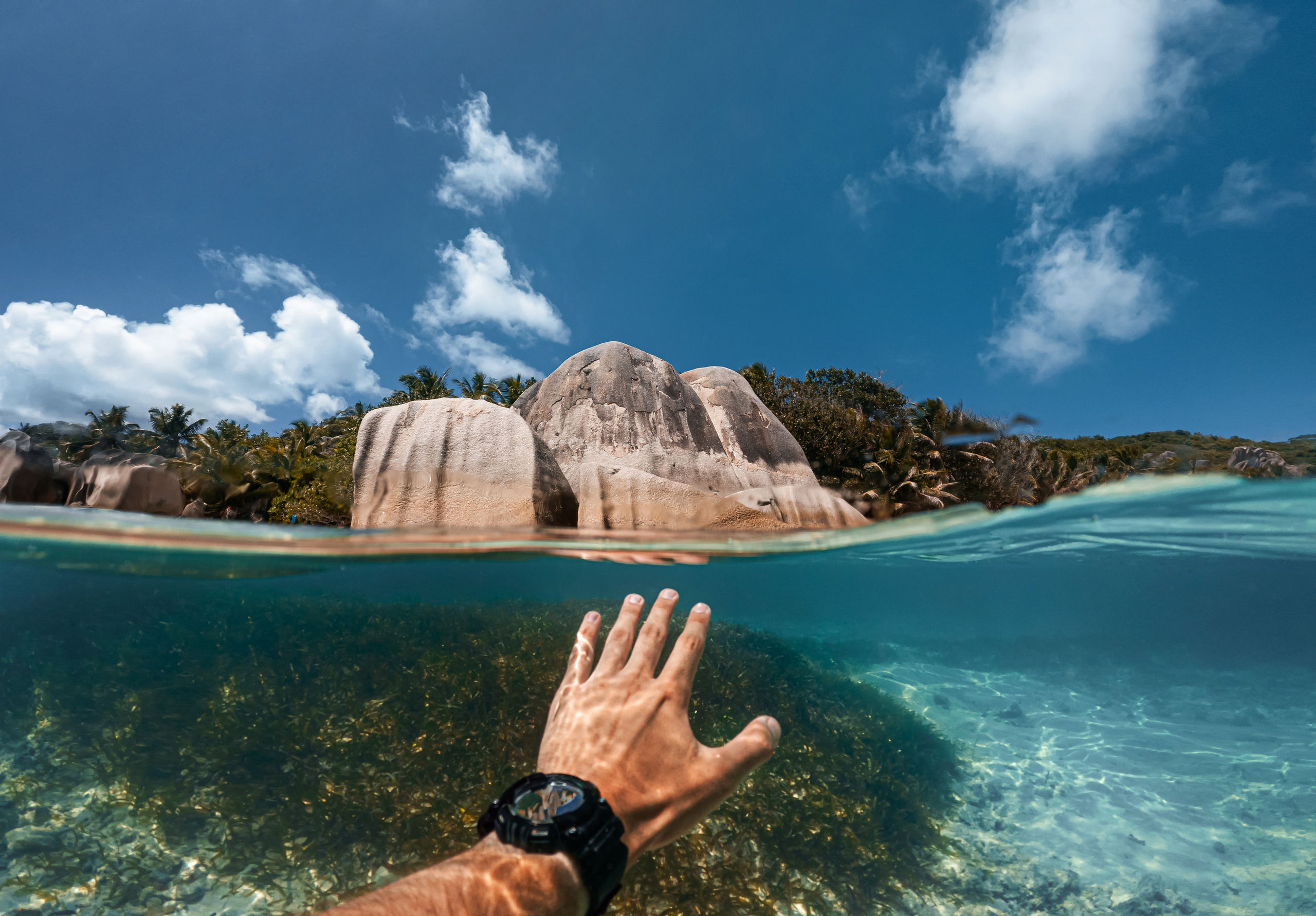 Seychelles. Свадебный и Репортажный фотограф в Москве — Шестак Константин