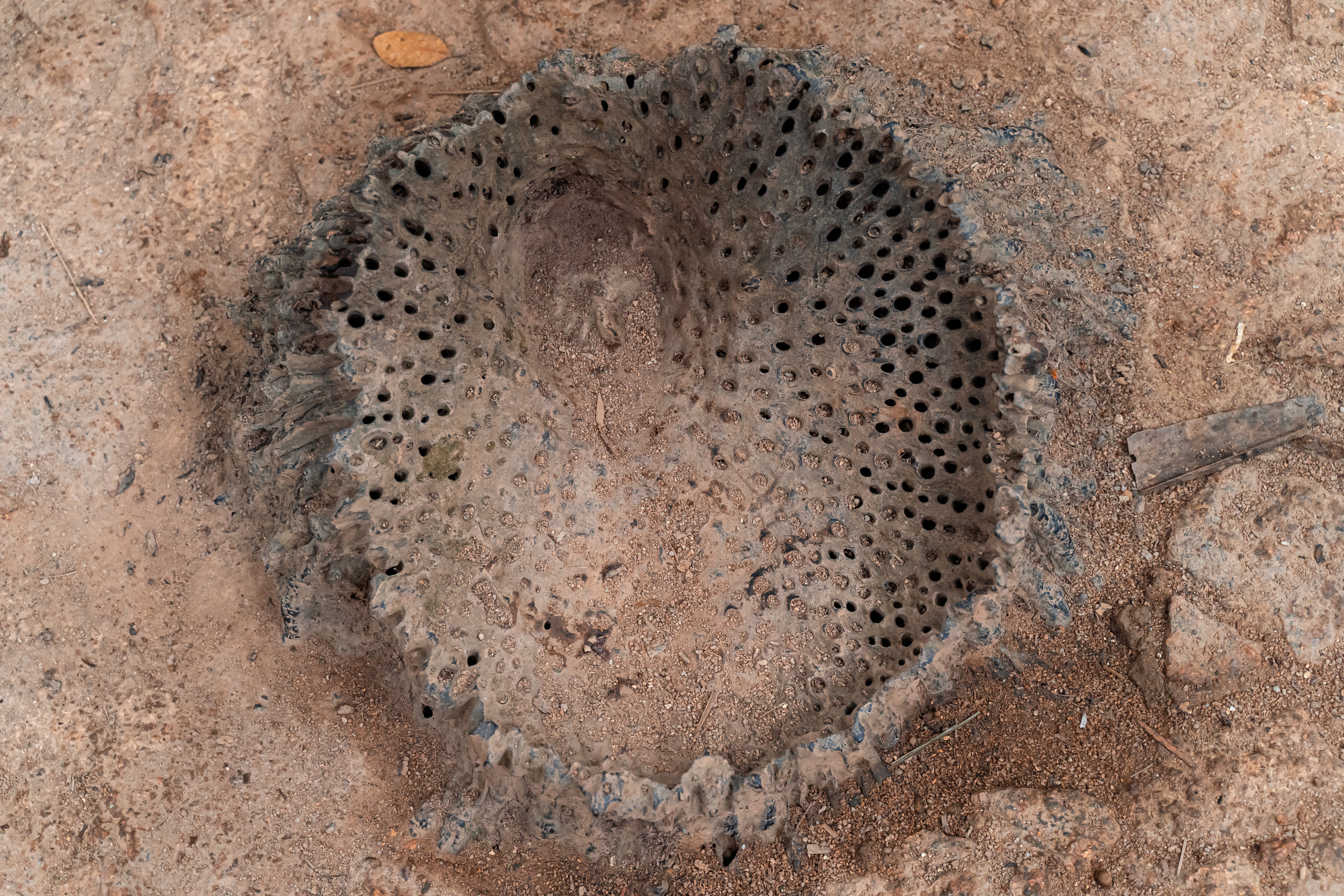 Seychelles. Свадебный и Репортажный фотограф в Москве — Шестак Константин