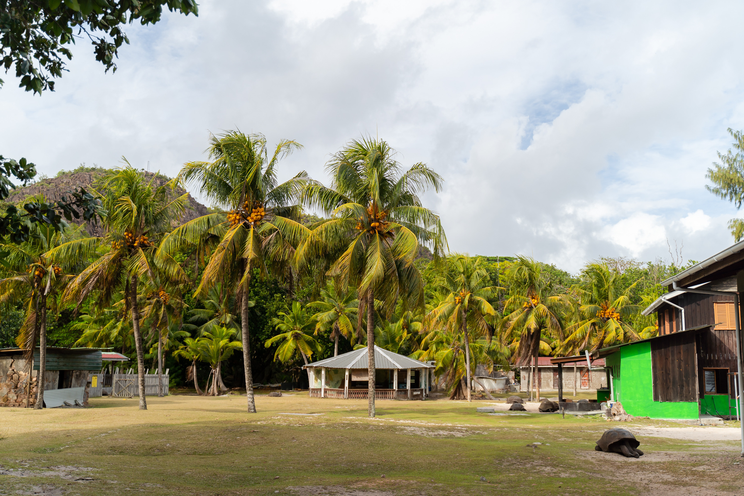 Seychelles. Свадебный и Репортажный фотограф в Москве — Шестак Константин