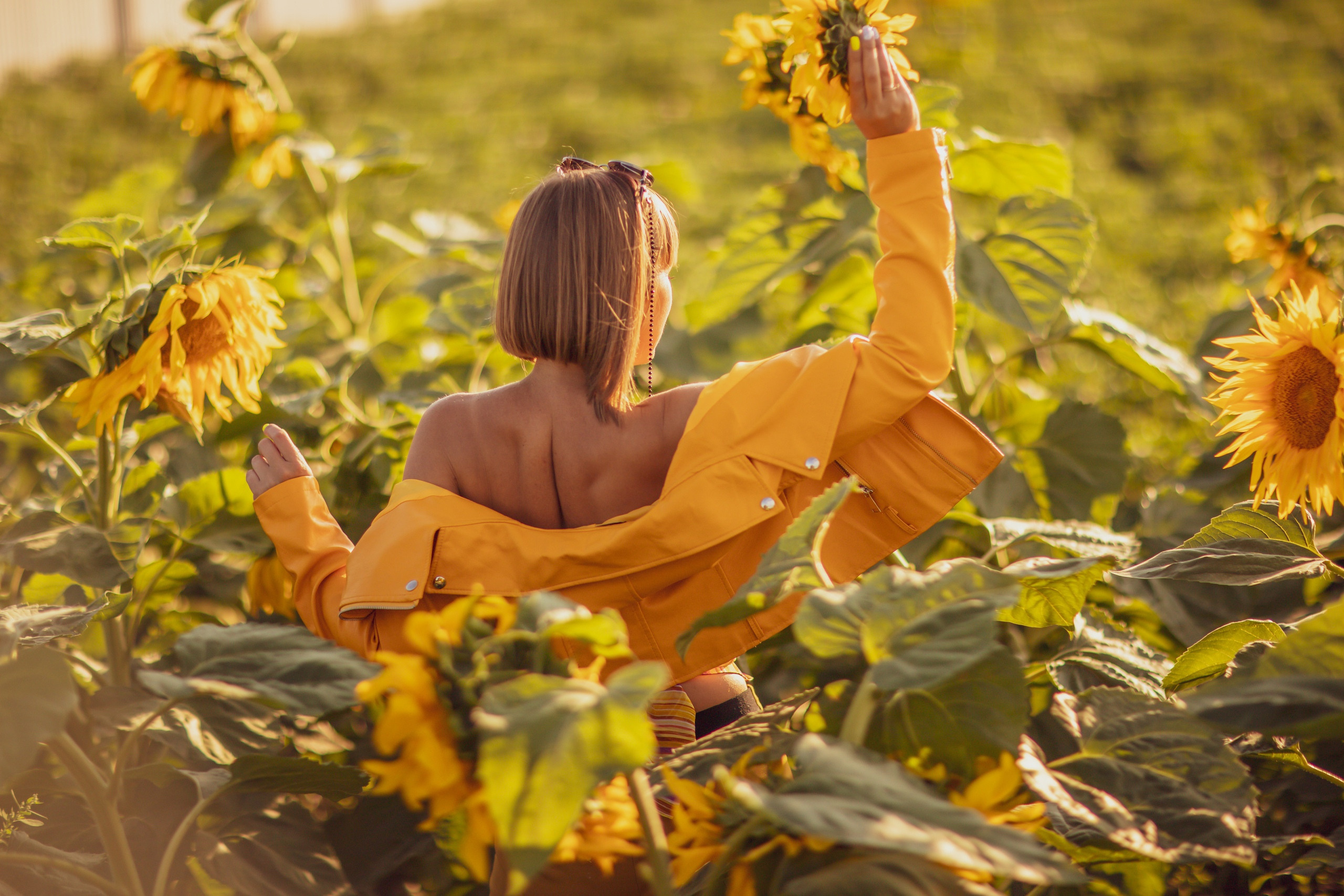 Подсолнухи, Тюмень. Свадебный и семейный фотограф. Фототуры по всему миру