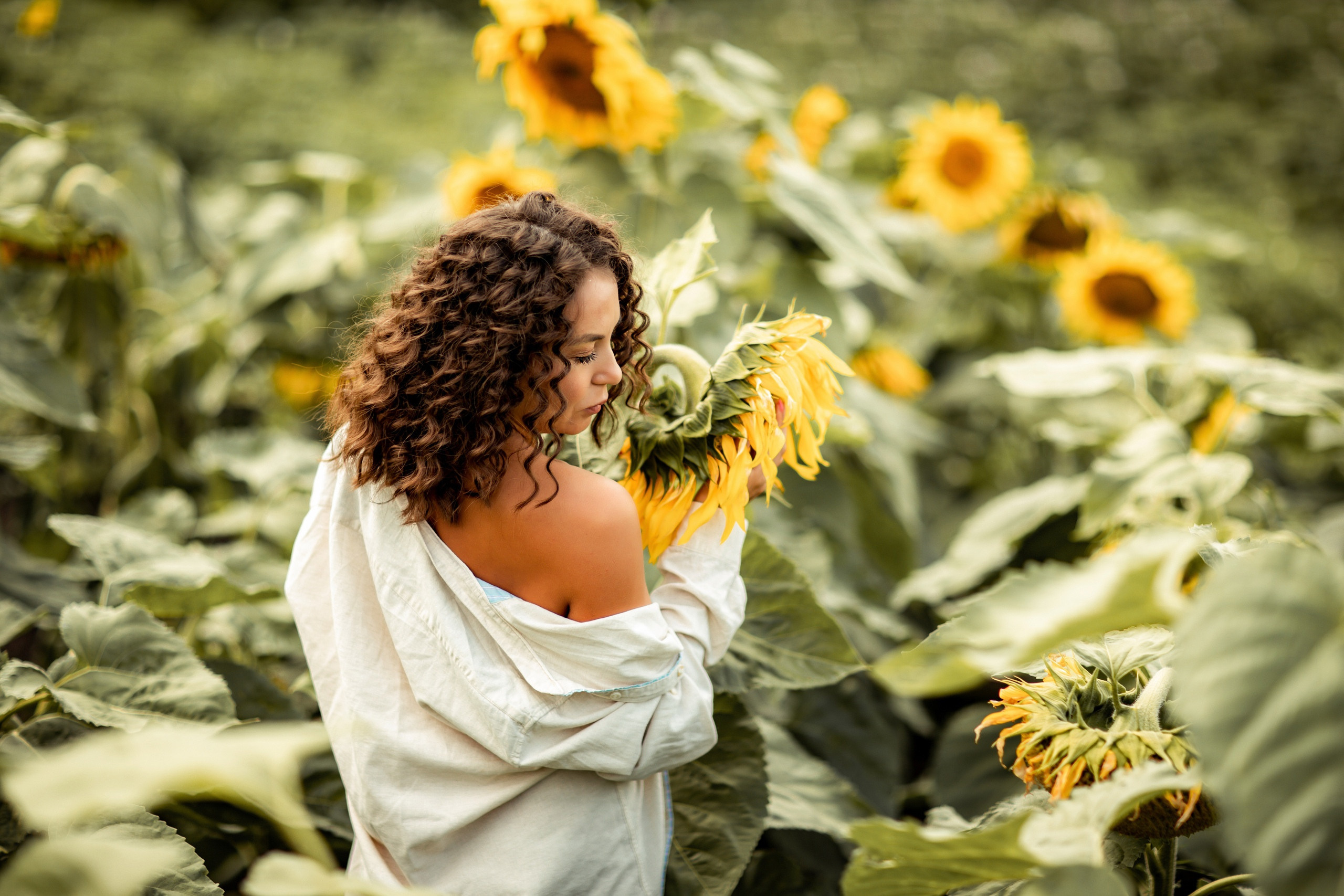 Подсолнухи, Тюмень. Свадебный и семейный фотограф. Фототуры по всему миру