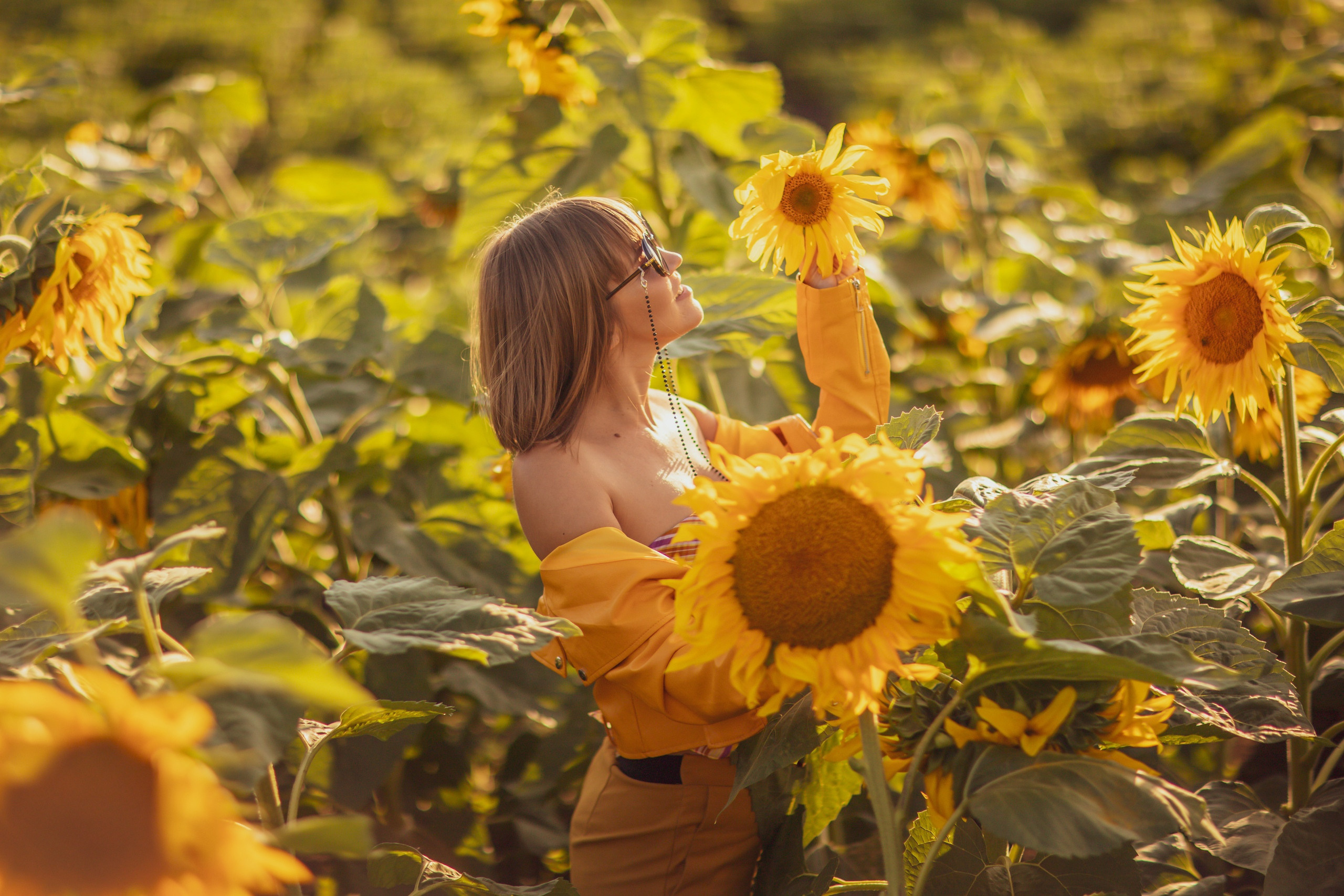 Подсолнухи, Тюмень. Свадебный и семейный фотограф. Фототуры по всему миру