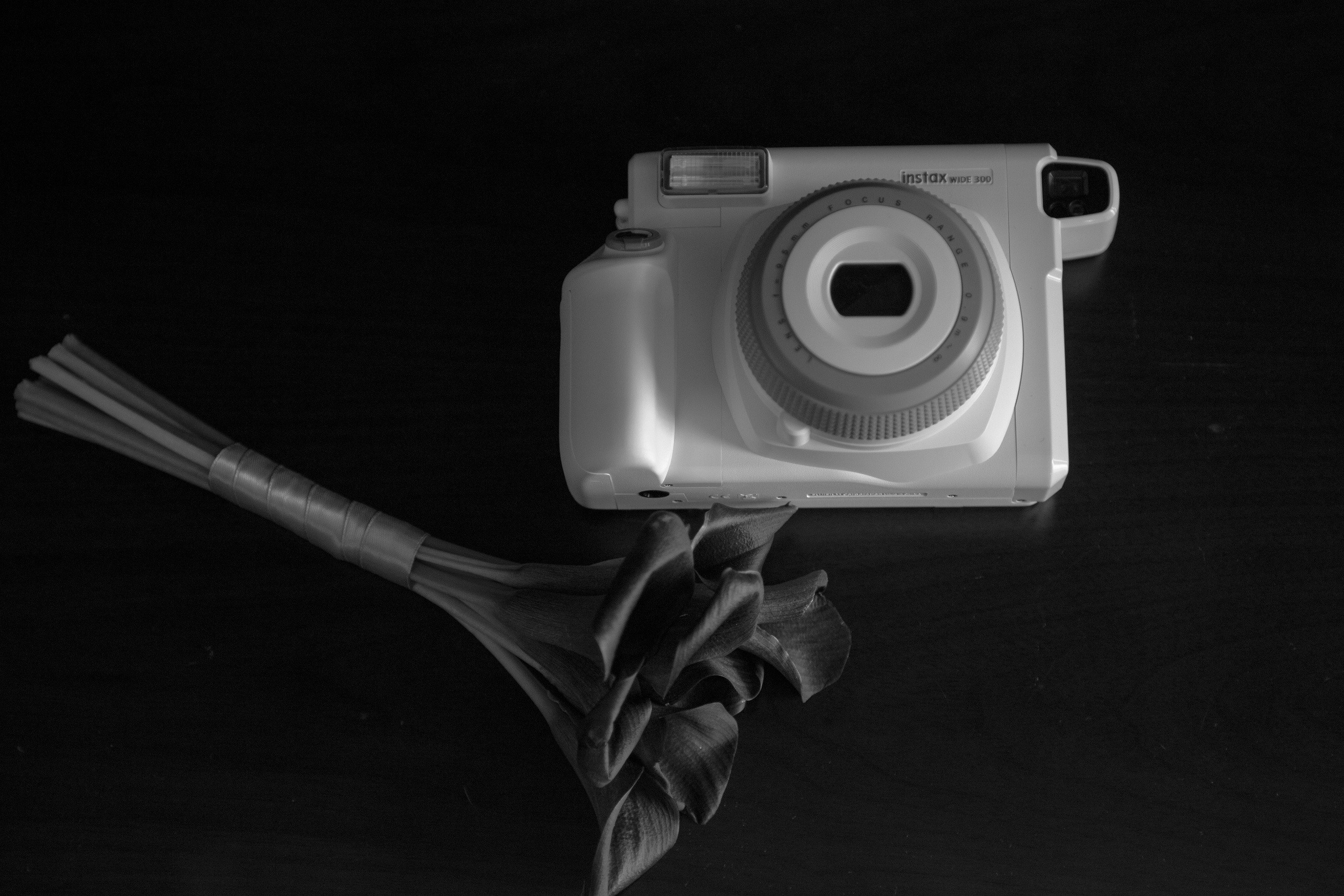 Диана и Сергей. Свадебный и семейный фотограф. Фототуры по всему миру