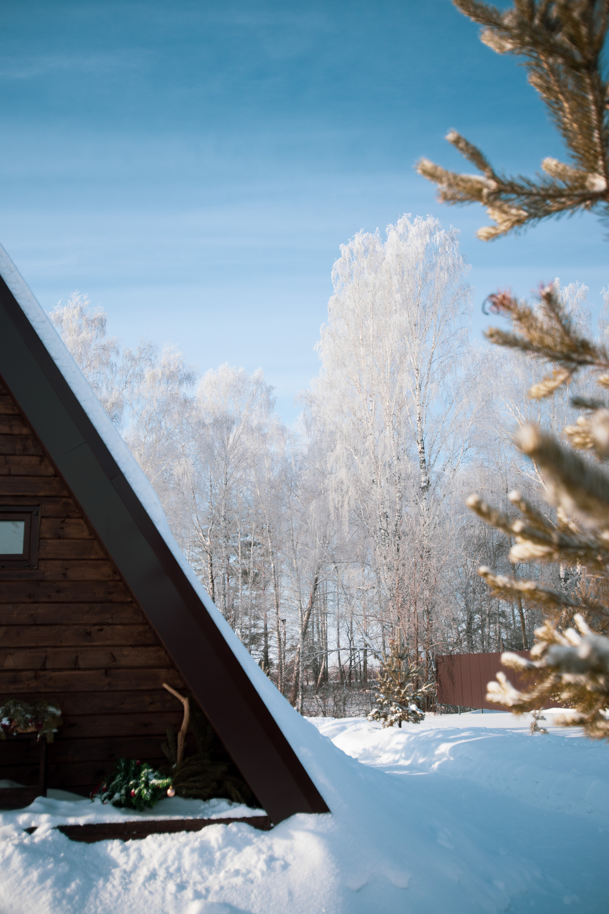 Шалаш у леса, Тюмень. Свадебный и семейный фотограф. Фототуры по всему миру