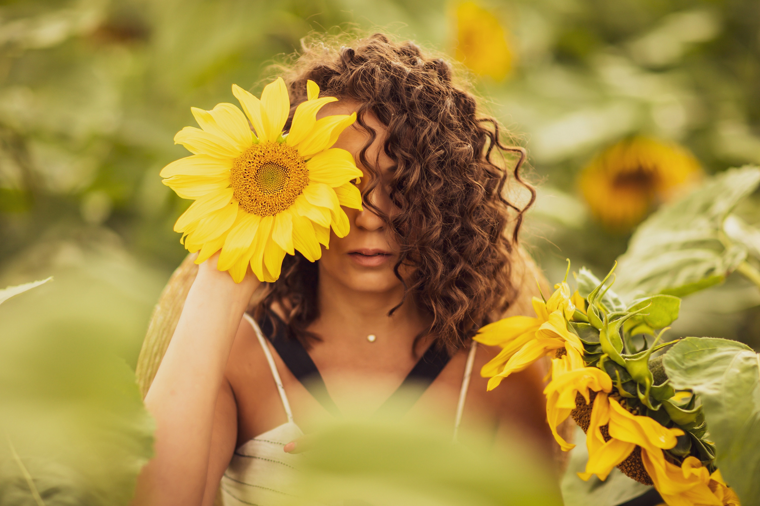 Подсолнухи, Тюмень. Свадебный и семейный фотограф. Фототуры по всему миру