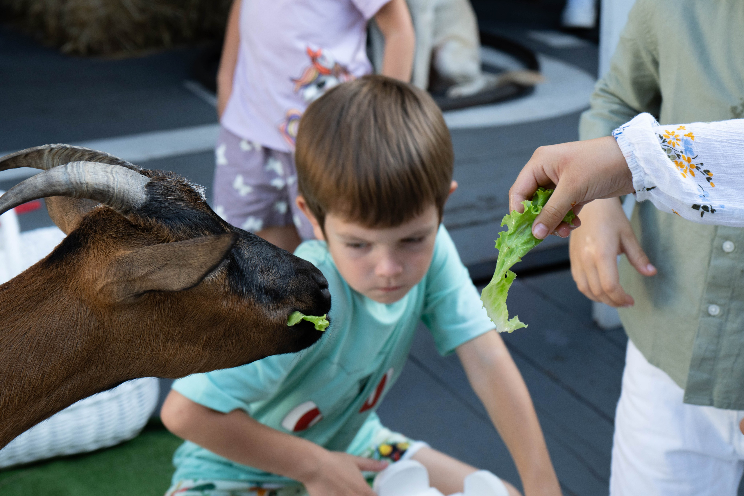 Репортажная съёмка. Фотограф и видеооператор Кривов Павел