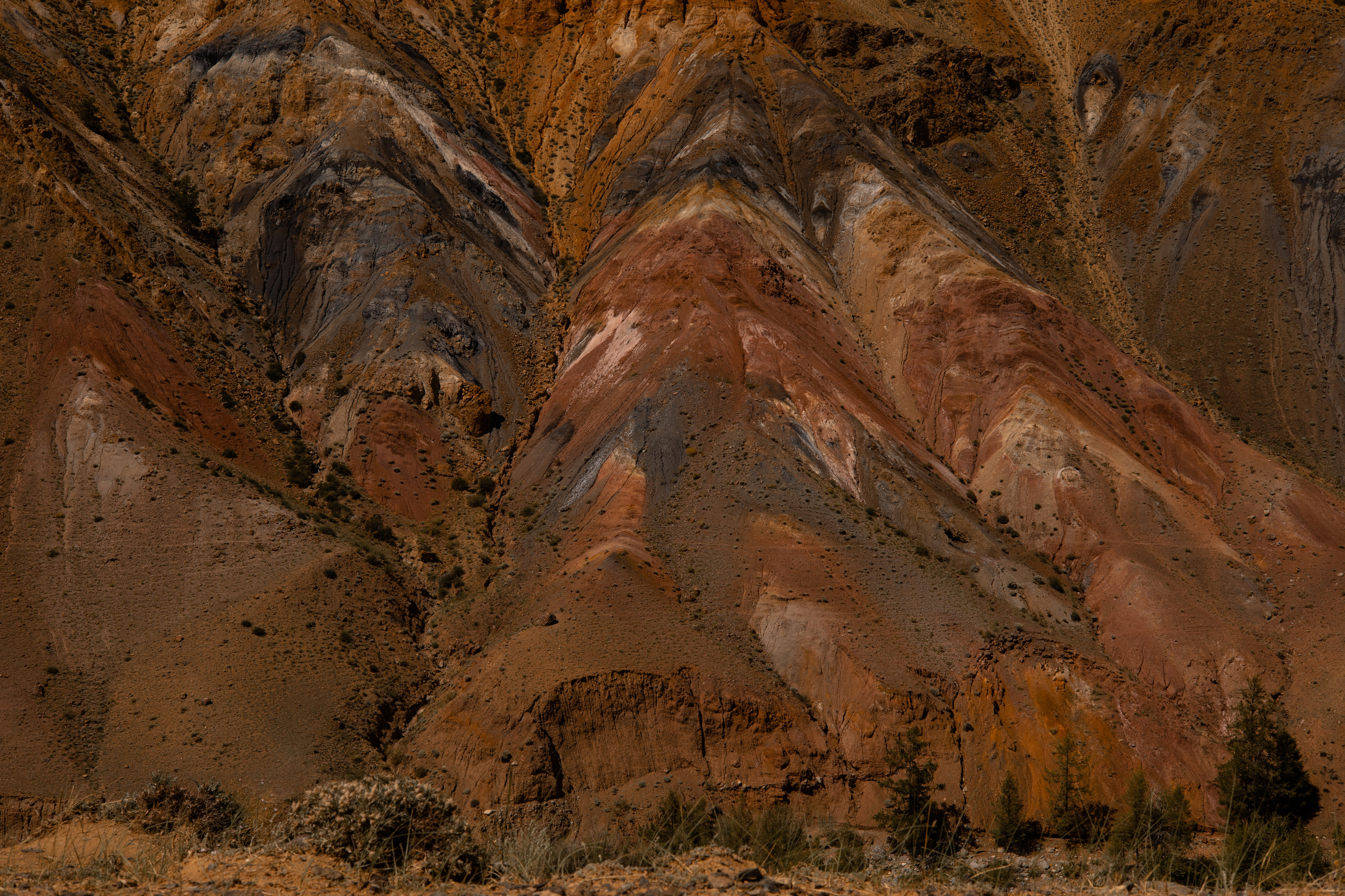 Алтай 2023. Фотограф в Кемерово Анастасия