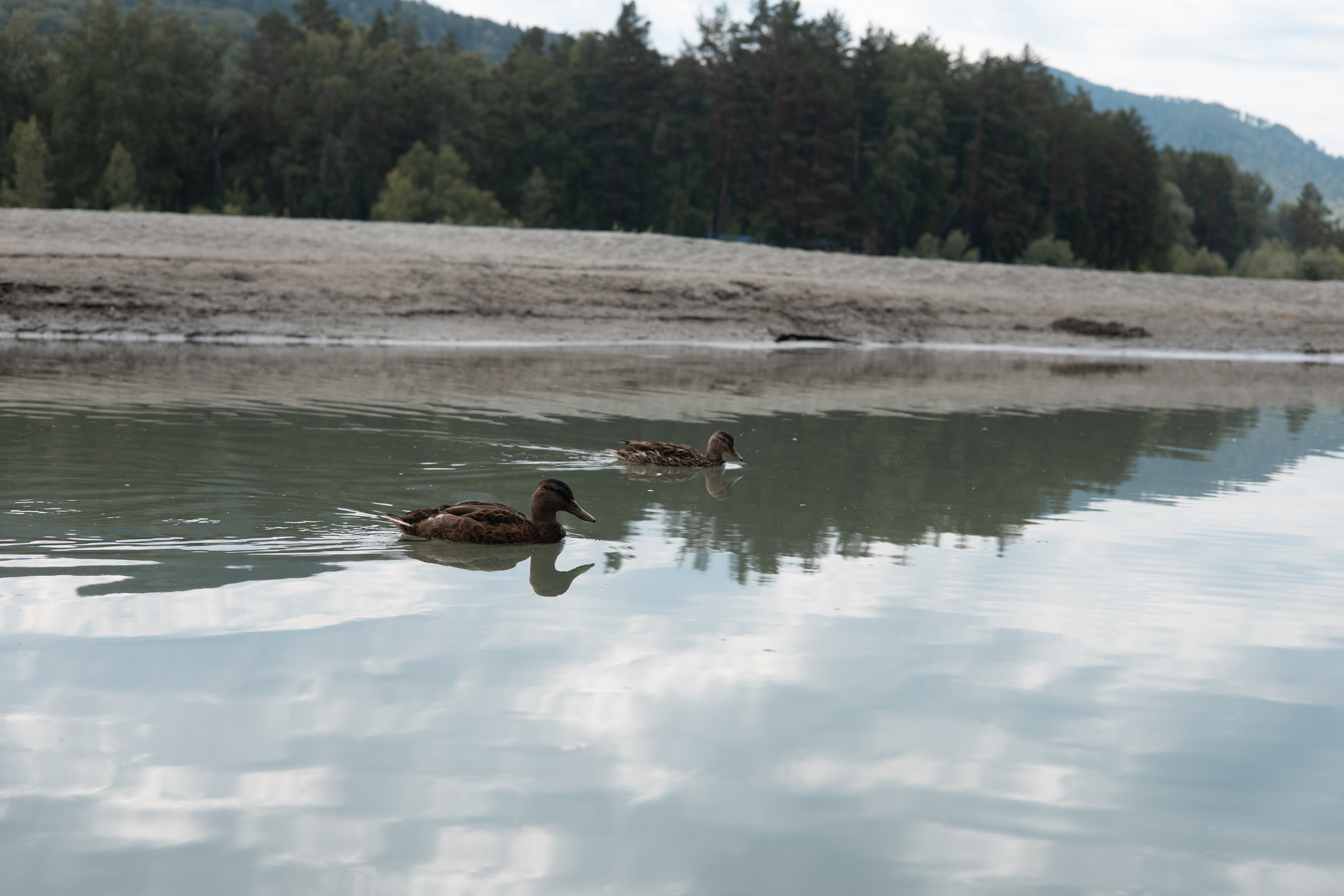 Алтай 2023. Фотограф в Кемерово Анастасия