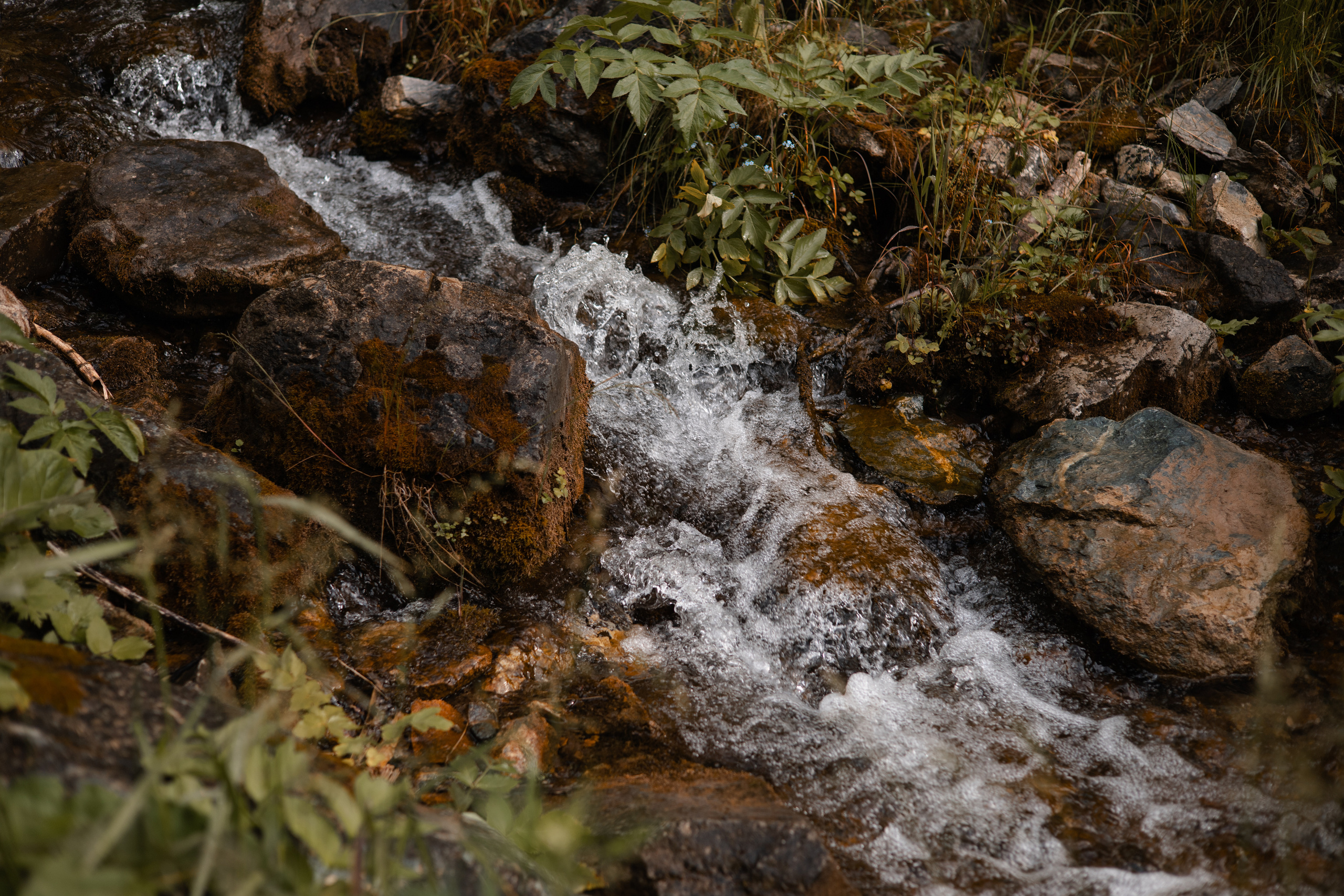 Алтай 2023. Фотограф в Кемерово Анастасия