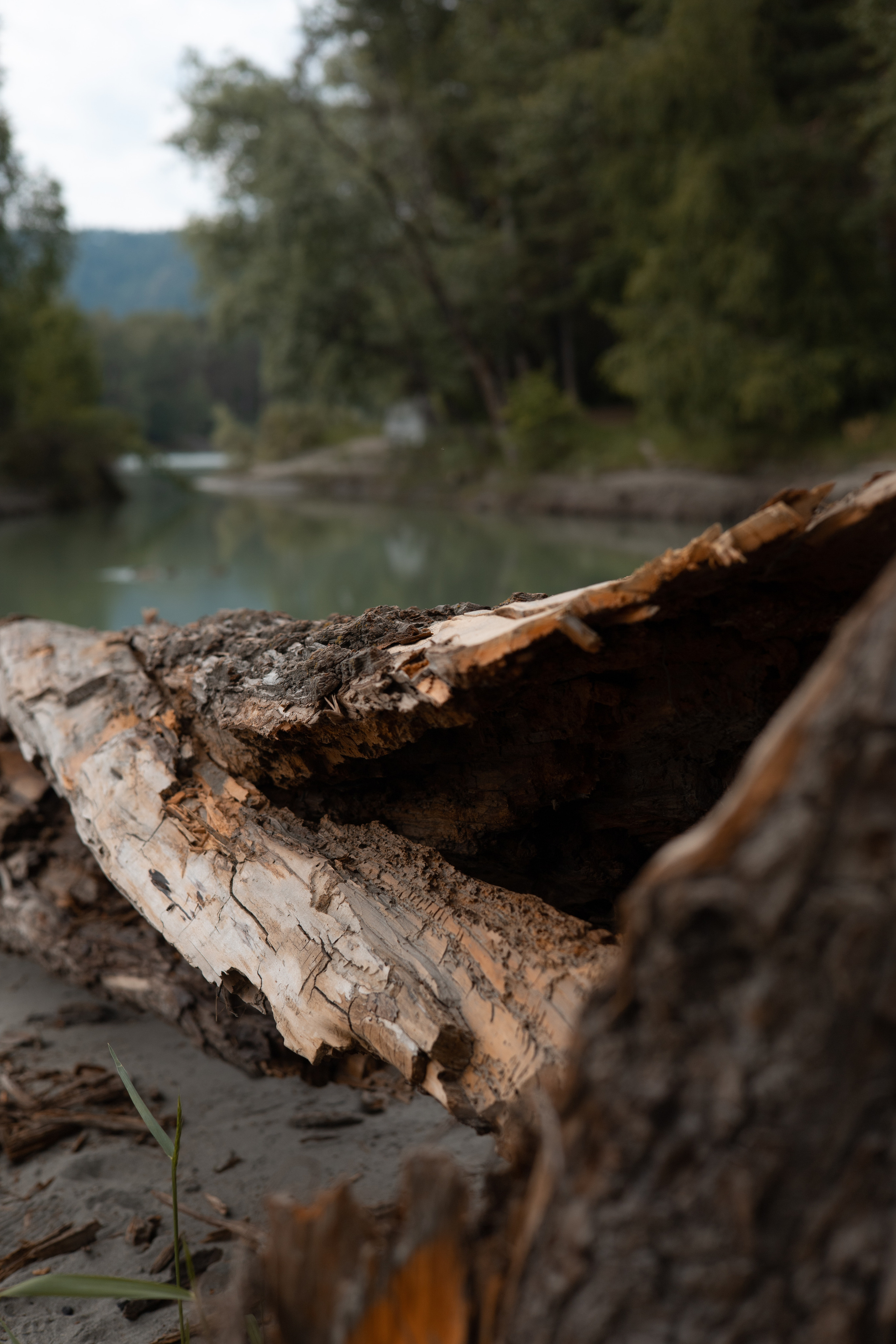 Алтай 2023. Фотограф в Кемерово Анастасия
