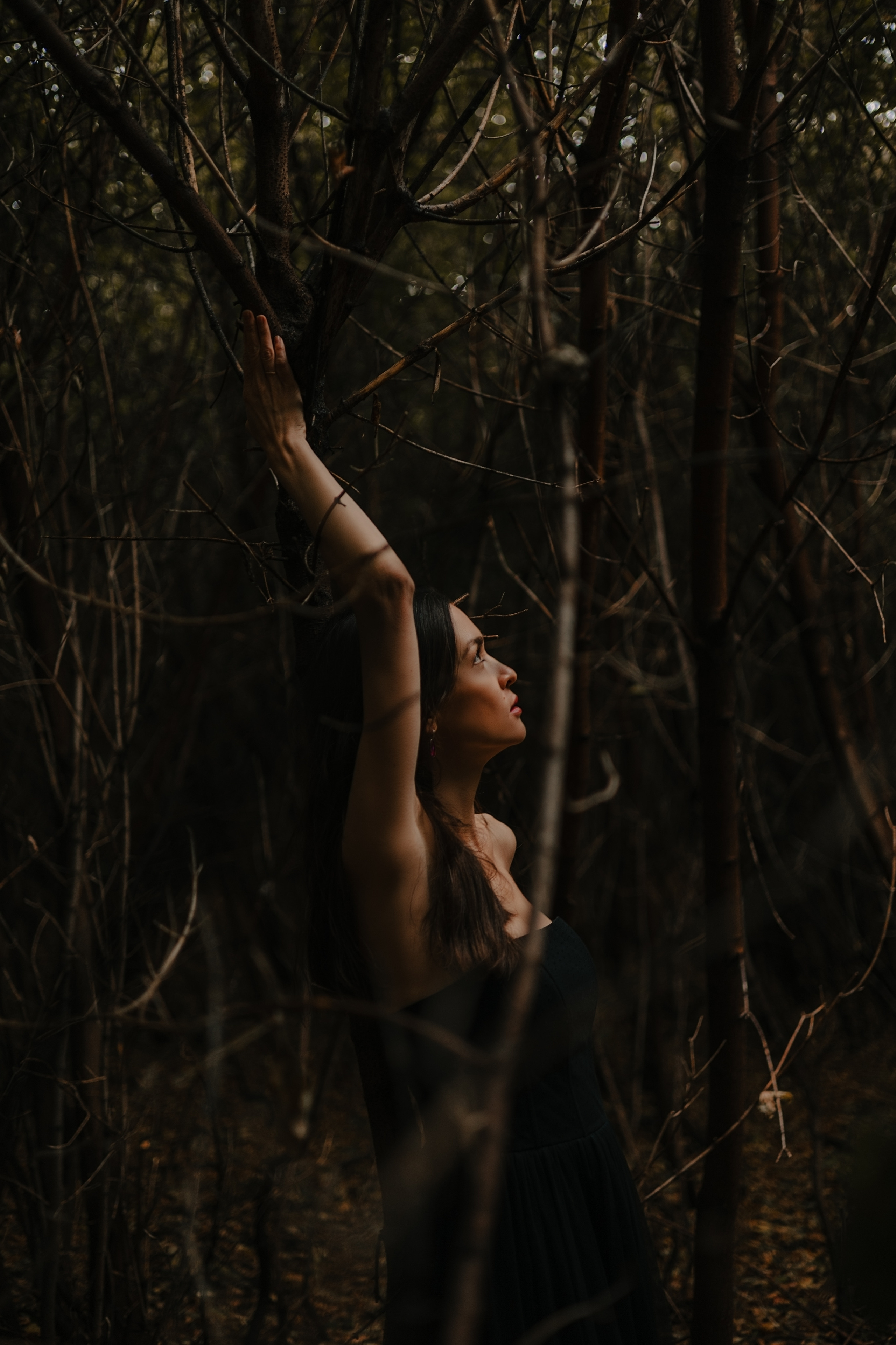 Лесной зов. Фотограф в Кемерово Анастасия