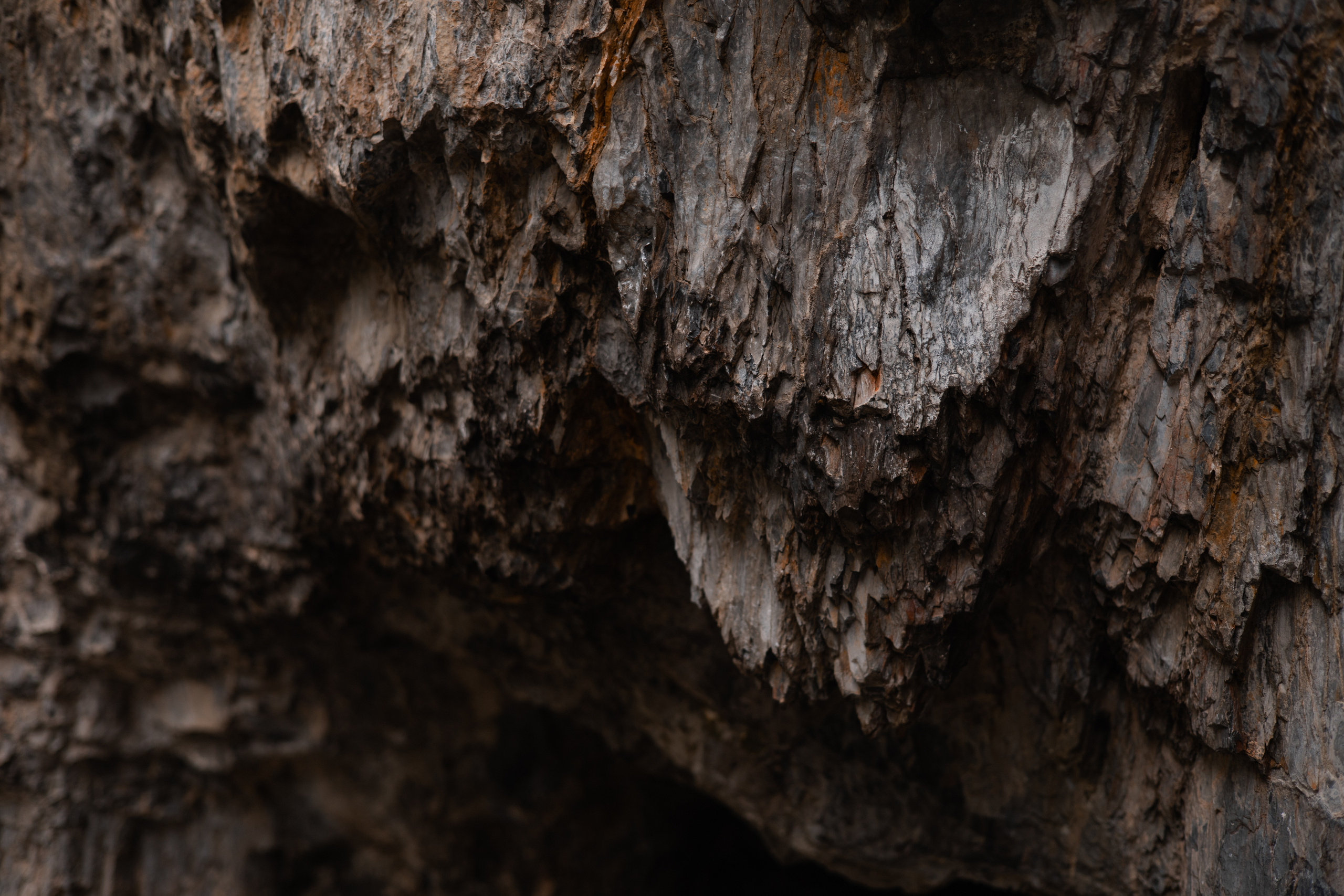 Алтай 2023. Фотограф в Кемерово Анастасия