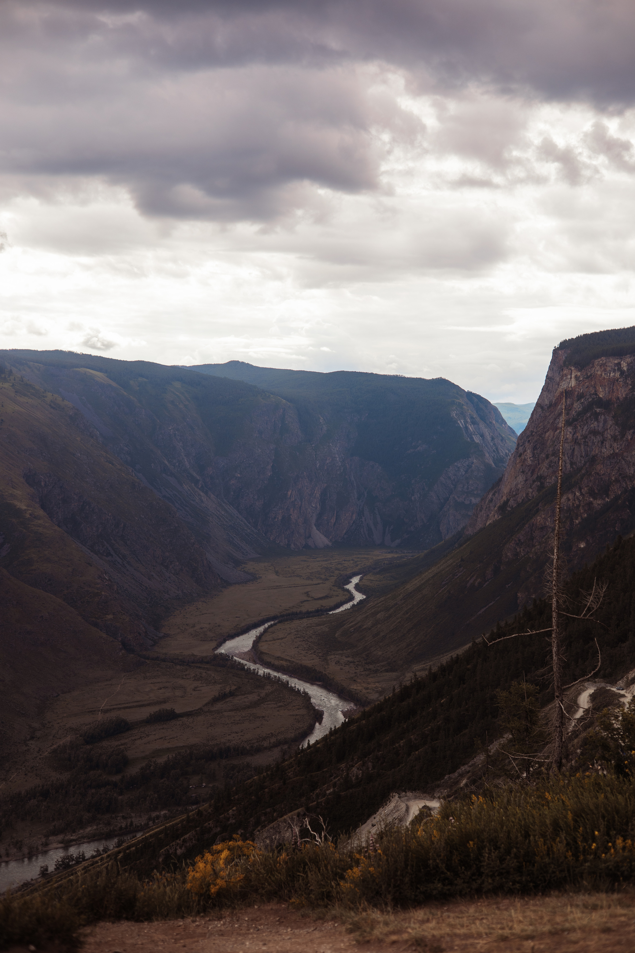 Алтай 2023. Фотограф в Кемерово Анастасия