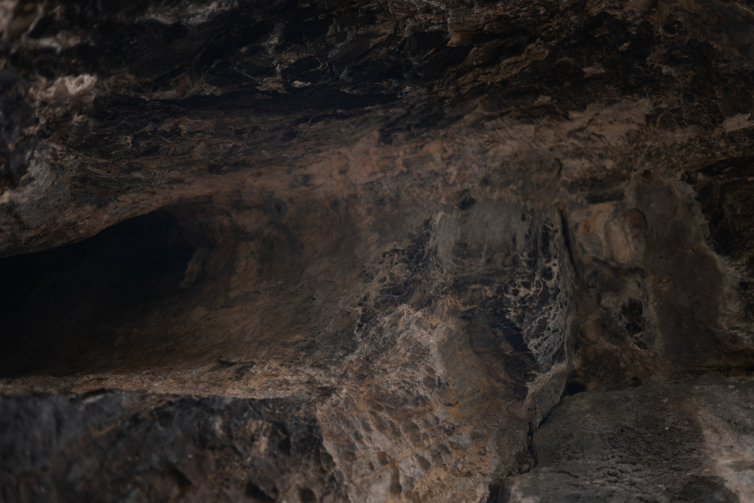 Алтай 2023. Фотограф в Кемерово Анастасия