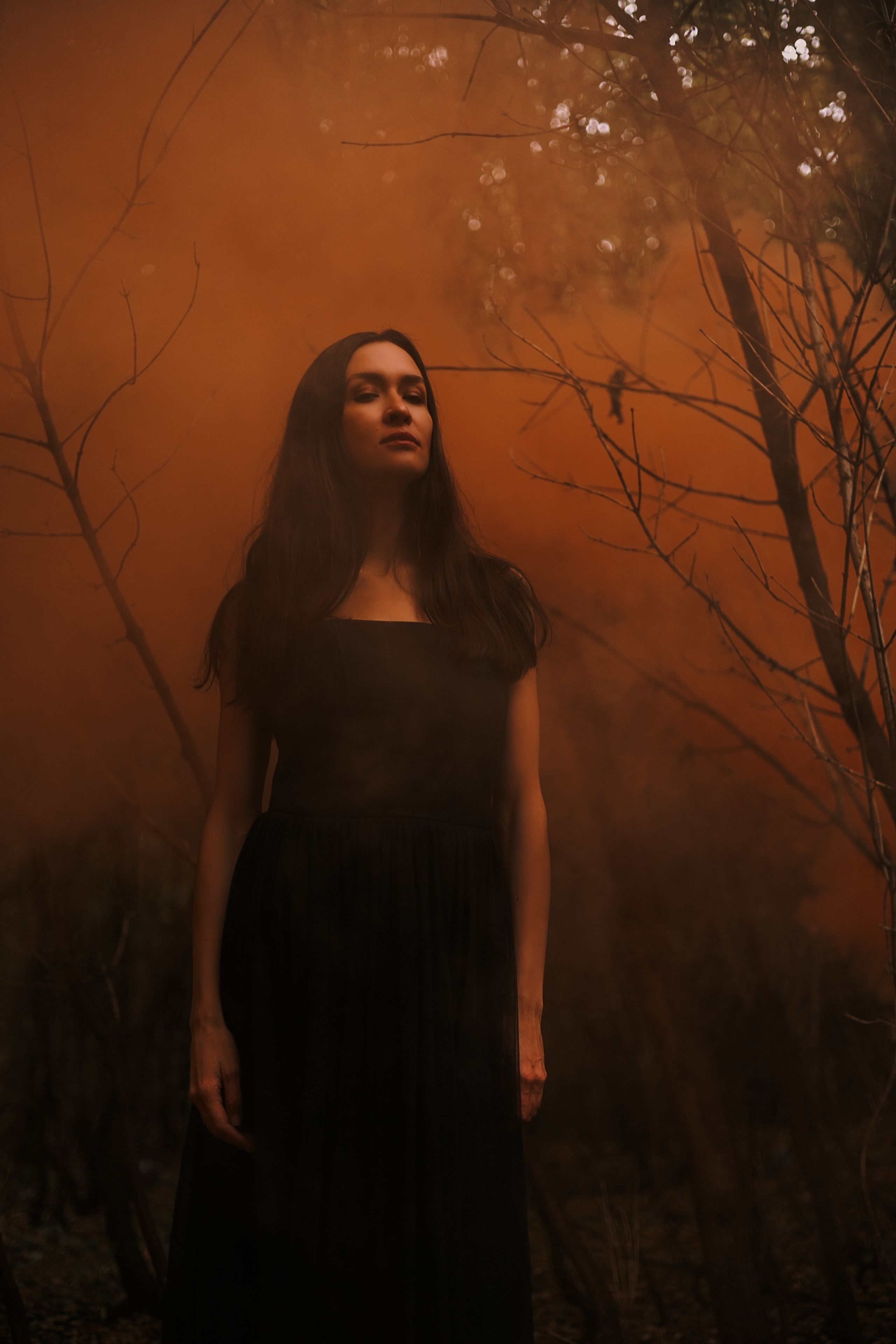 Лесной зов. Фотограф в Кемерово Анастасия