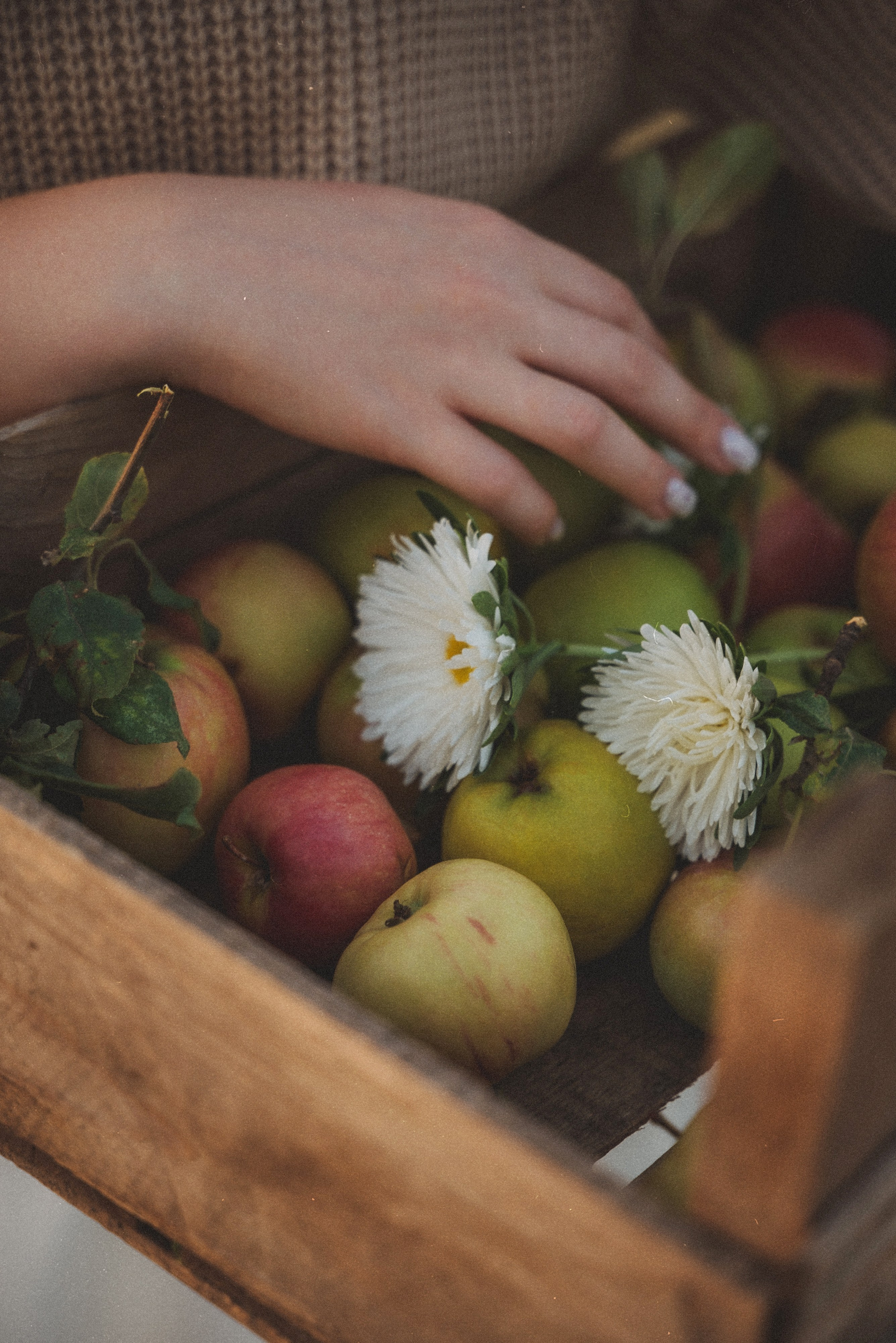 Виктория. Фотограф Новочеркасск Ольга Мальцева