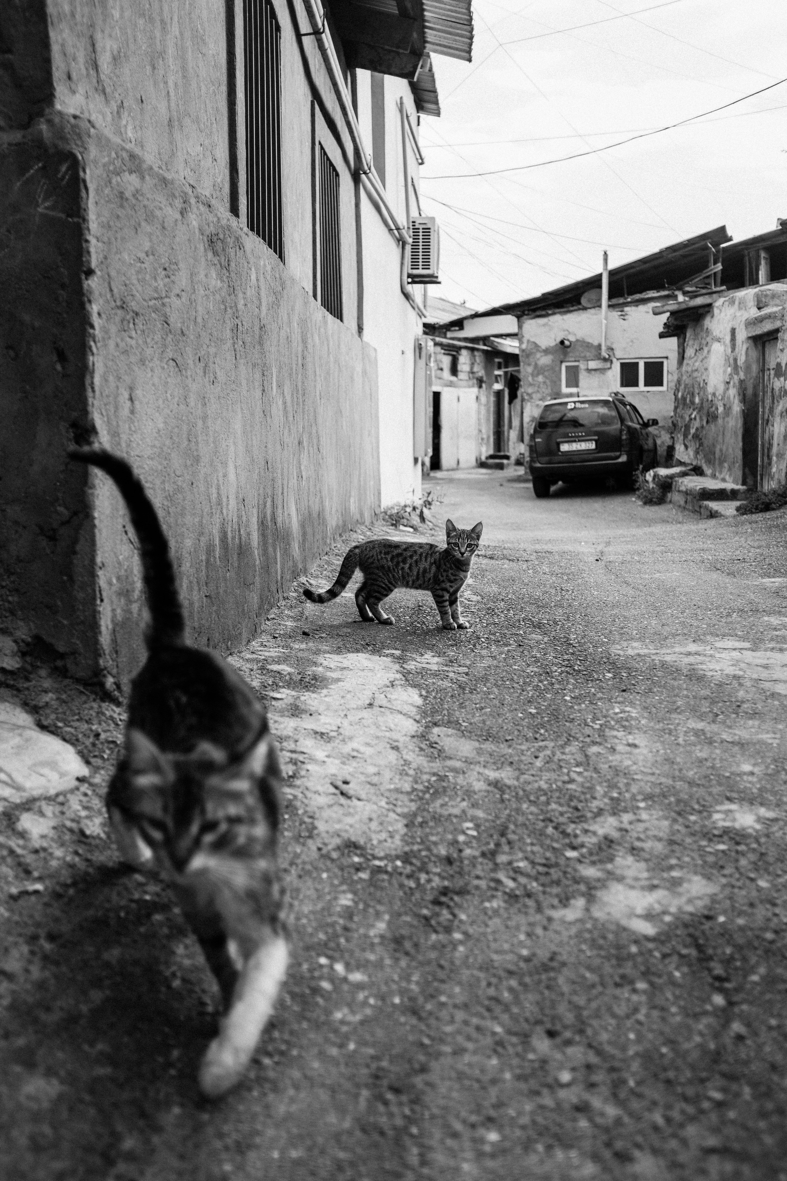 Армения. Фотограф Екатерина Катунова | Москва