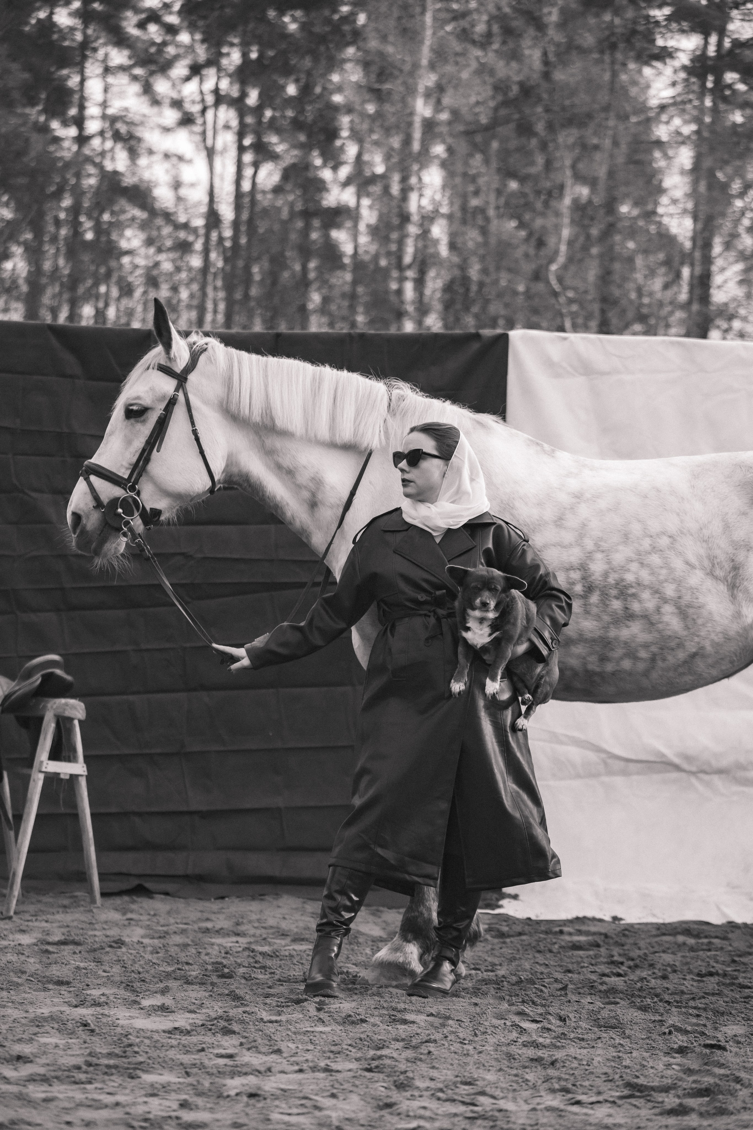 Проект DEFILE. Конный фотограф в Санкт-Петербурге Анна Лебедева