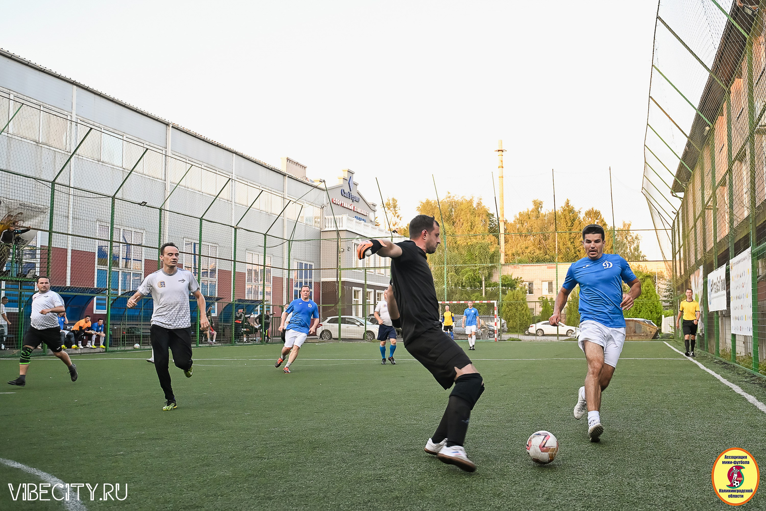 ИГРЫ ПЛЕЙ-ОФФ ПЕРВОГО ДИВИЗИОНА МИНИ-ФУТБОЛЬНОЙ ЛИГИ. VIBECITY.RU Вайб Сити Ру Фоторепортажи Фотоотчеты Калининград