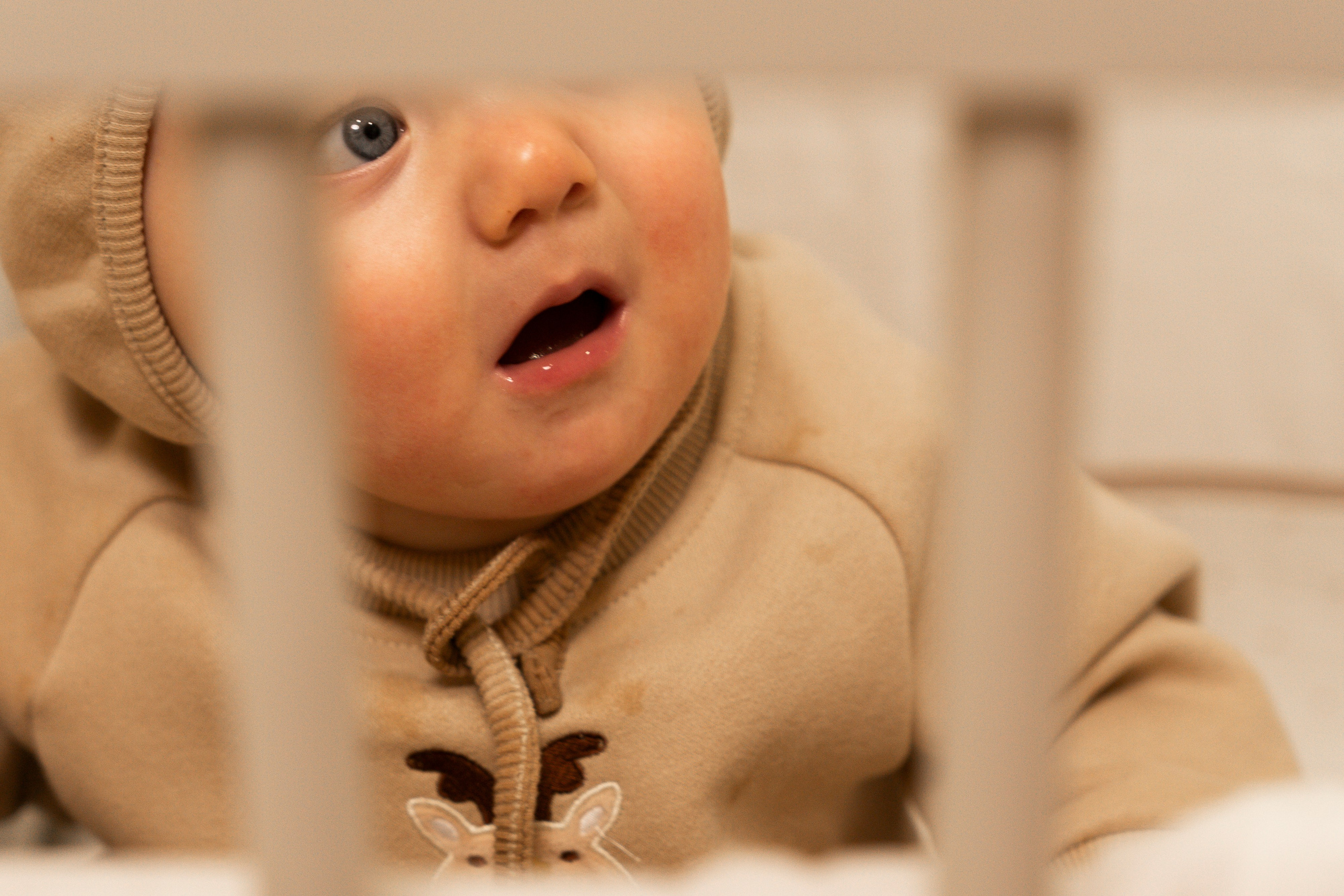 Новогодние тройняшки. Главная