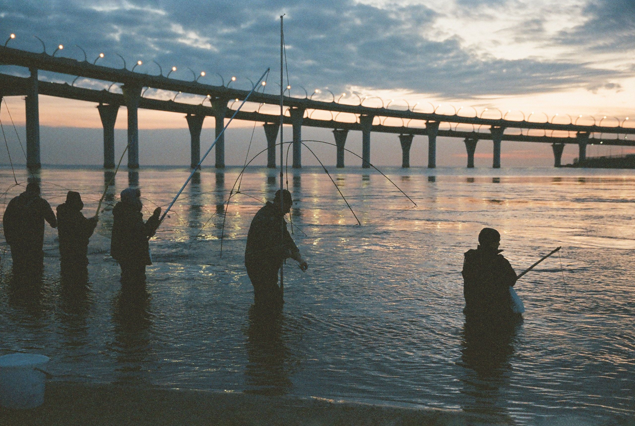 Фотографии цветные. Свадебный и семейный пленочный фотограф в Петербурге Истомина Ирина