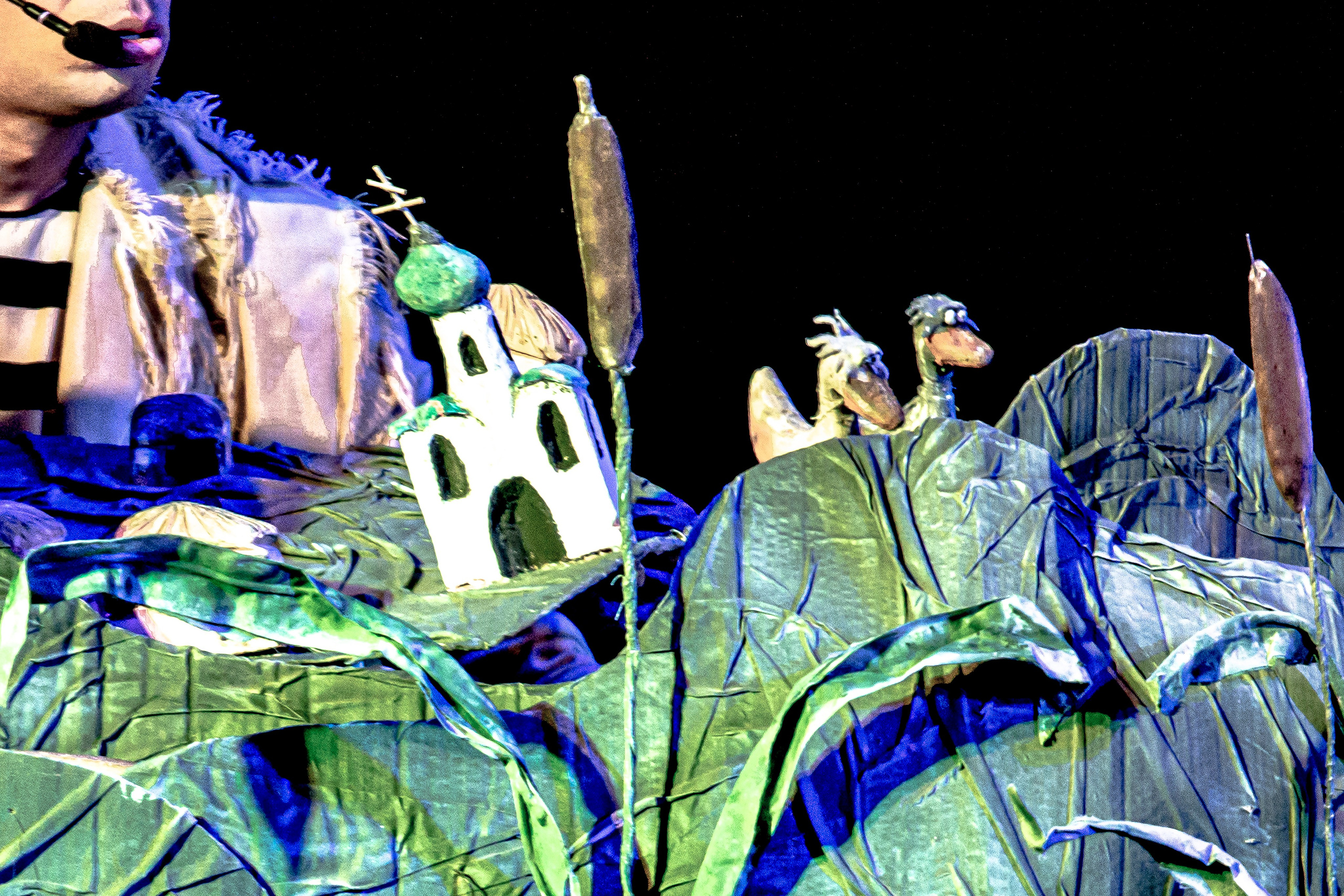 Спектакль театра Саквояж Лягушка путешествиница. Фотограф в Сочи Юрий Шептаев