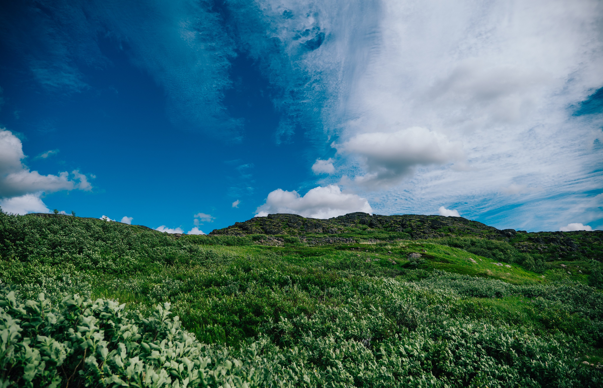 ТЕРИБЕРКА. Создание контента | Фото | Видеосъемка | Александр Ярков