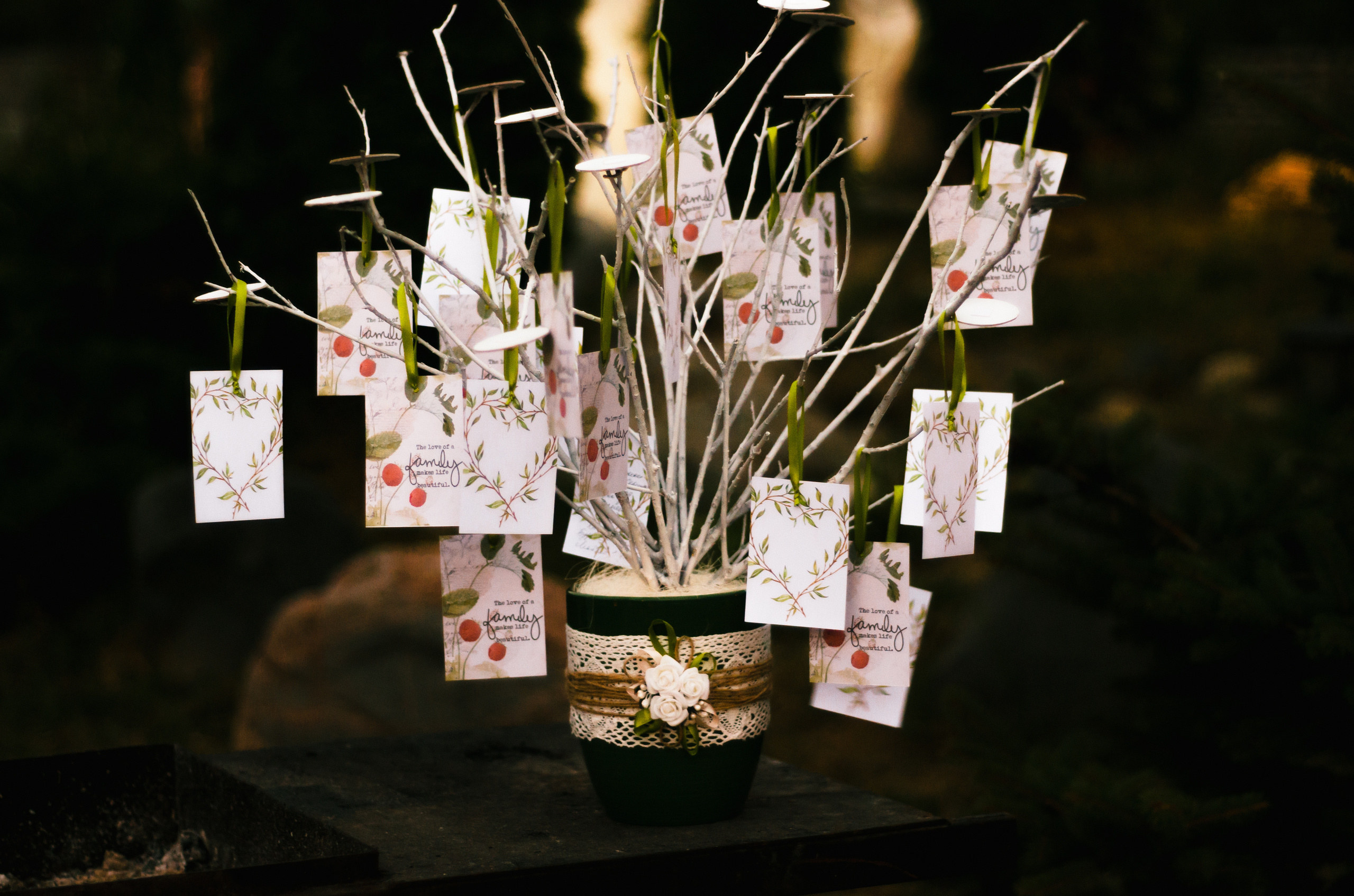 Камерная и уютная свадьба Алены и Сергея в г.Пятигорск. Свадебный фото. Фотограф Ольга Дзюба. Фототерапия как зеркало души. КМВ