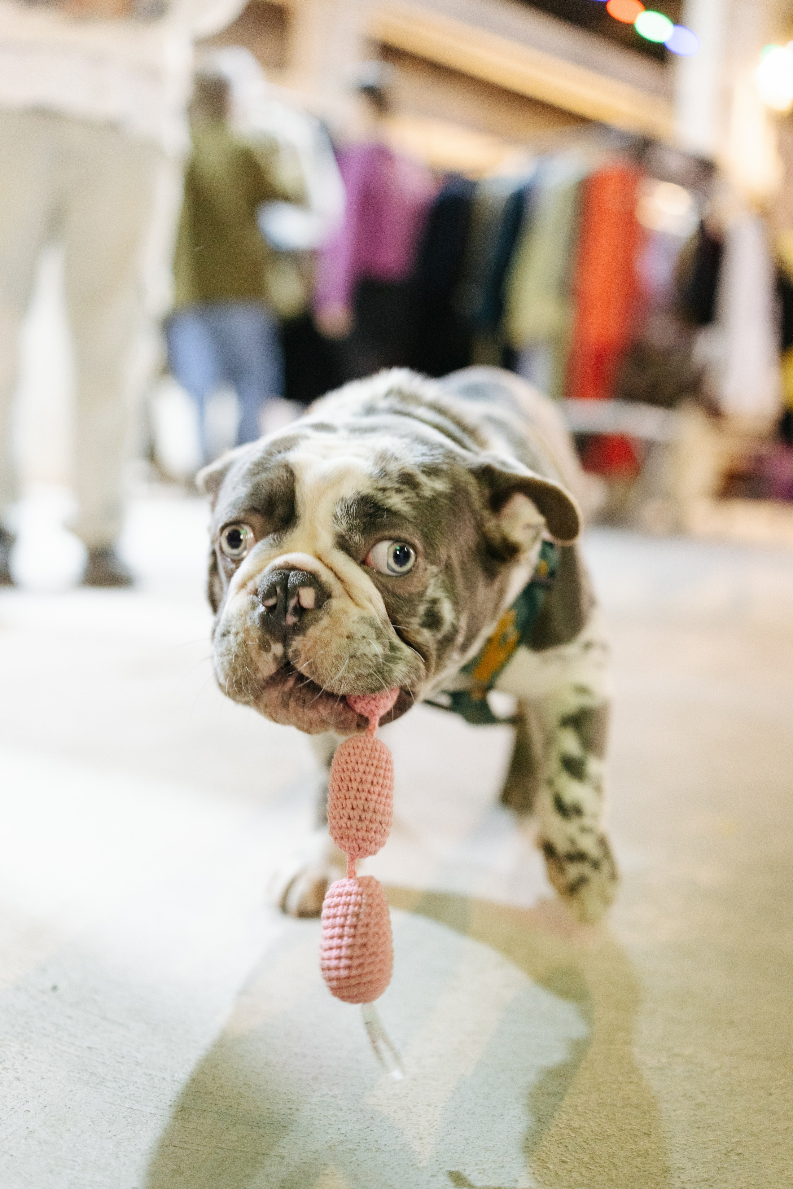 7–8 марта 2026 в Типографии Сытина / фото Валерий Белобеев. Фотоотчеты «Ламбада-маркета»