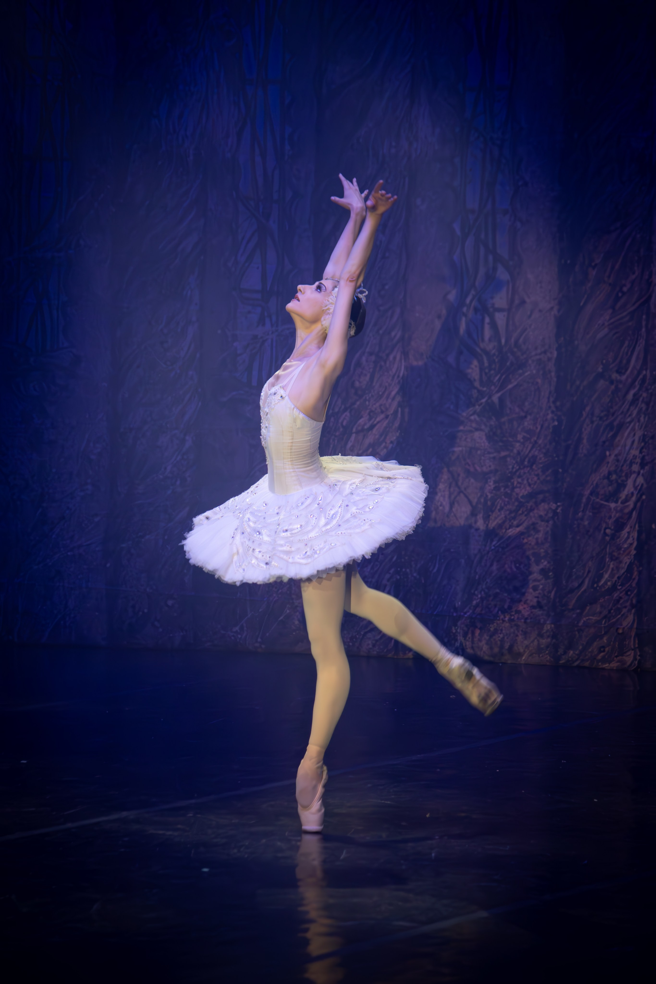 Лебединое озеро. Имперский русский балет. Фотограф в Нижнем Новгороде Екатерина Хисматулина