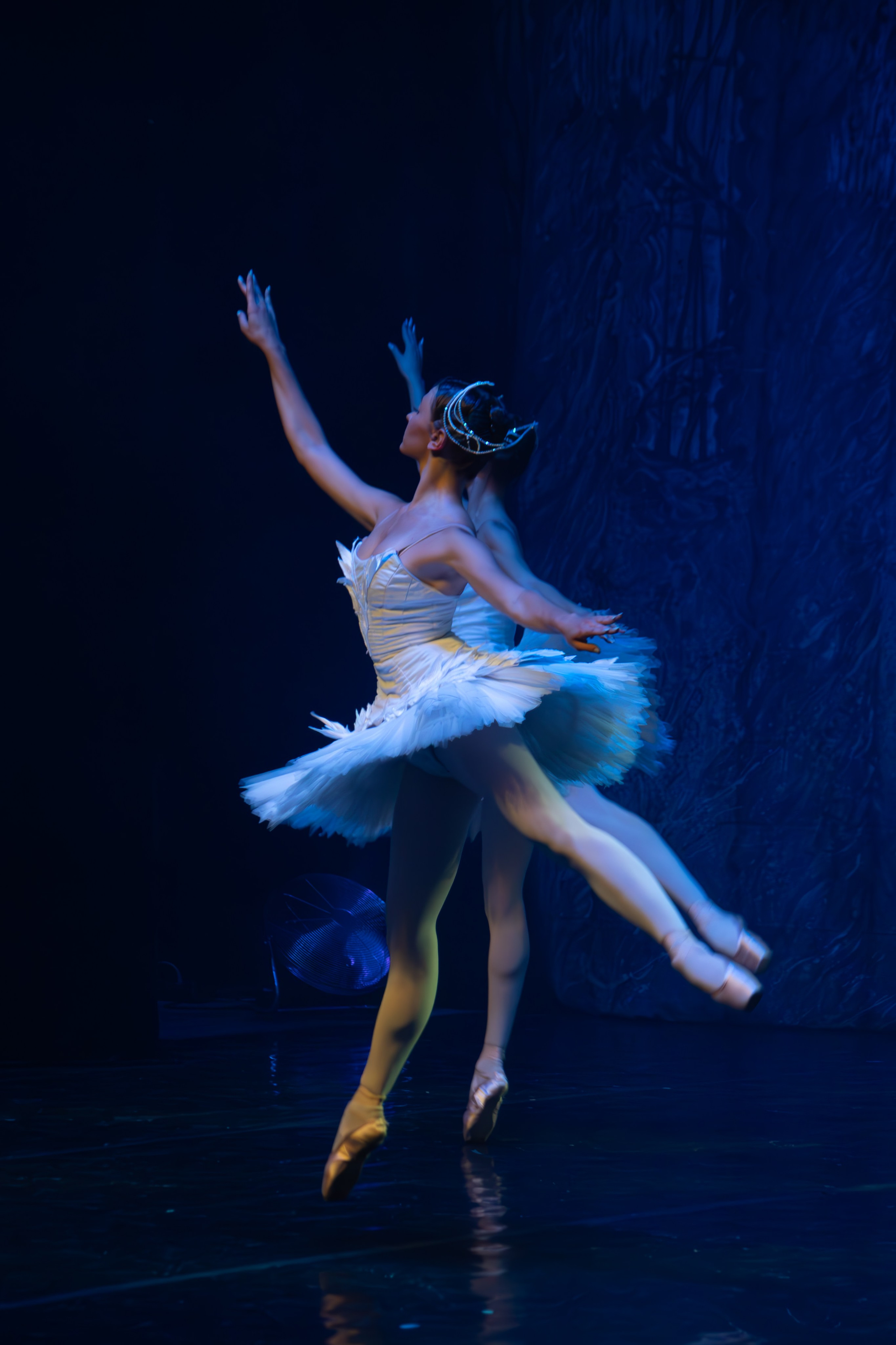 Лебединое озеро. Имперский русский балет. Фотограф в Нижнем Новгороде Екатерина Хисматулина