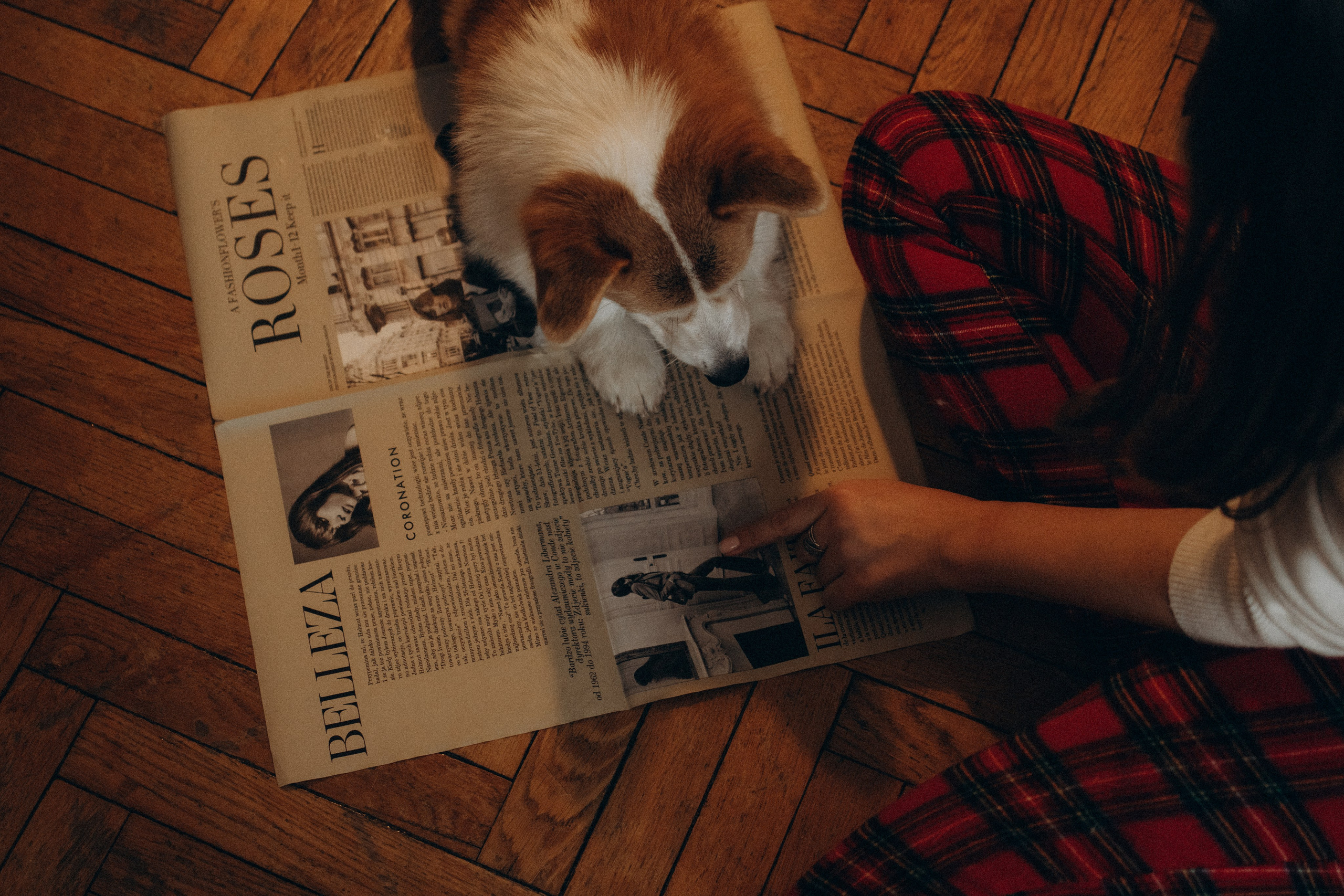 Ронни и Жанна. Фотораф — анималист Мария Шистка