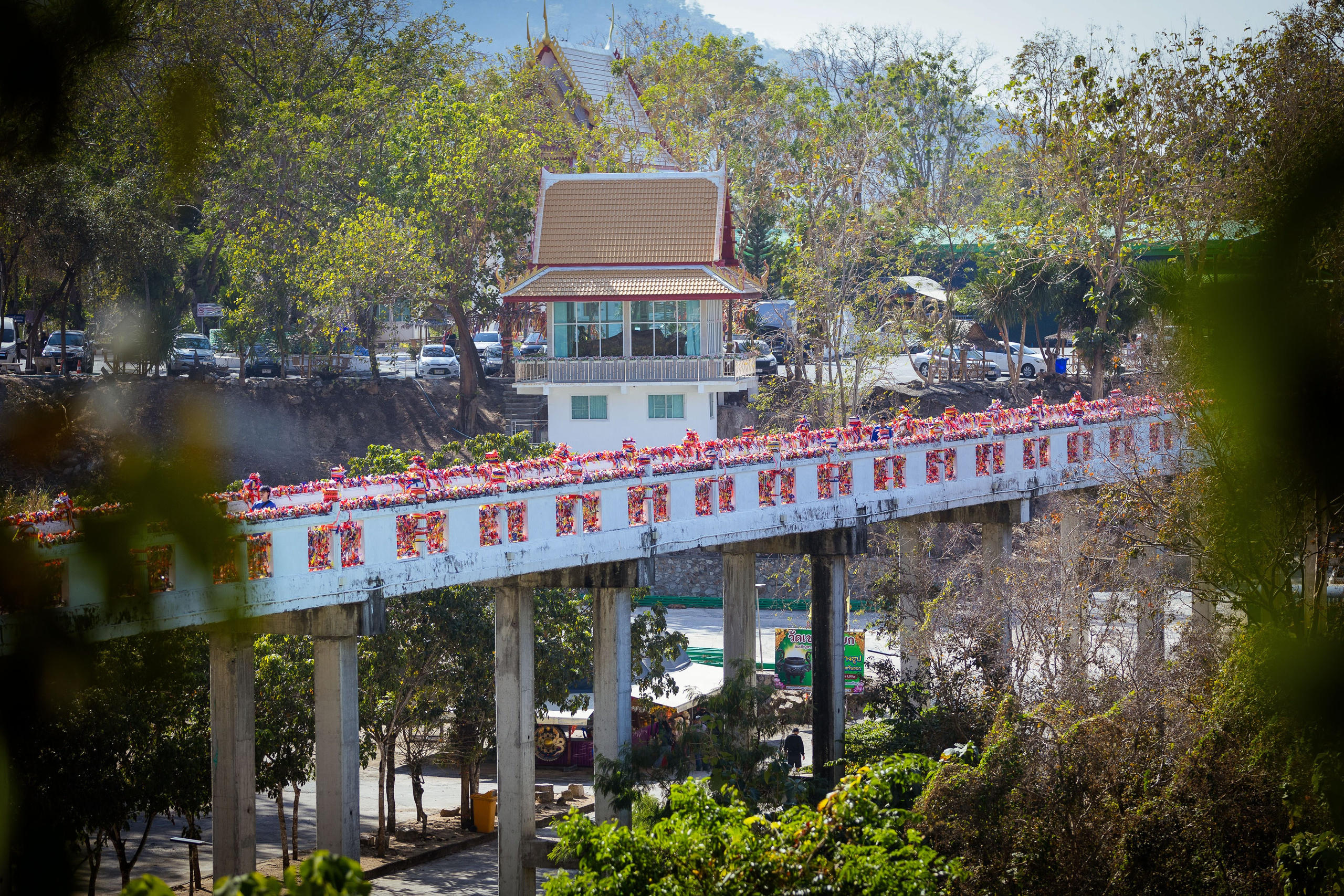 Таиланд (зима 2025). Фотограф Виноградов Константин