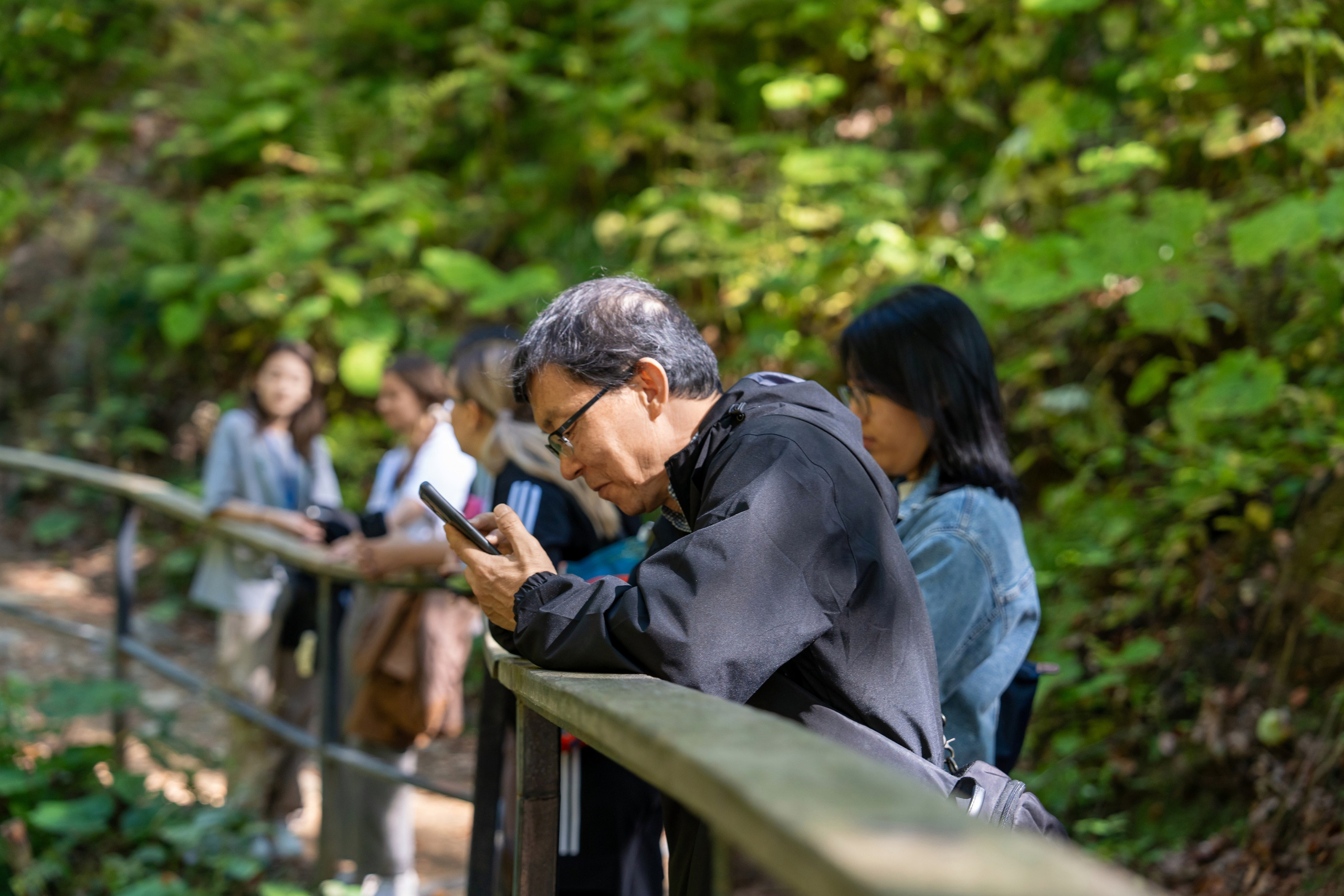 ChinaRosaFest 2024. Репортажный фотограф в Красной Поляне и Сочи Павлюченко Екатерина