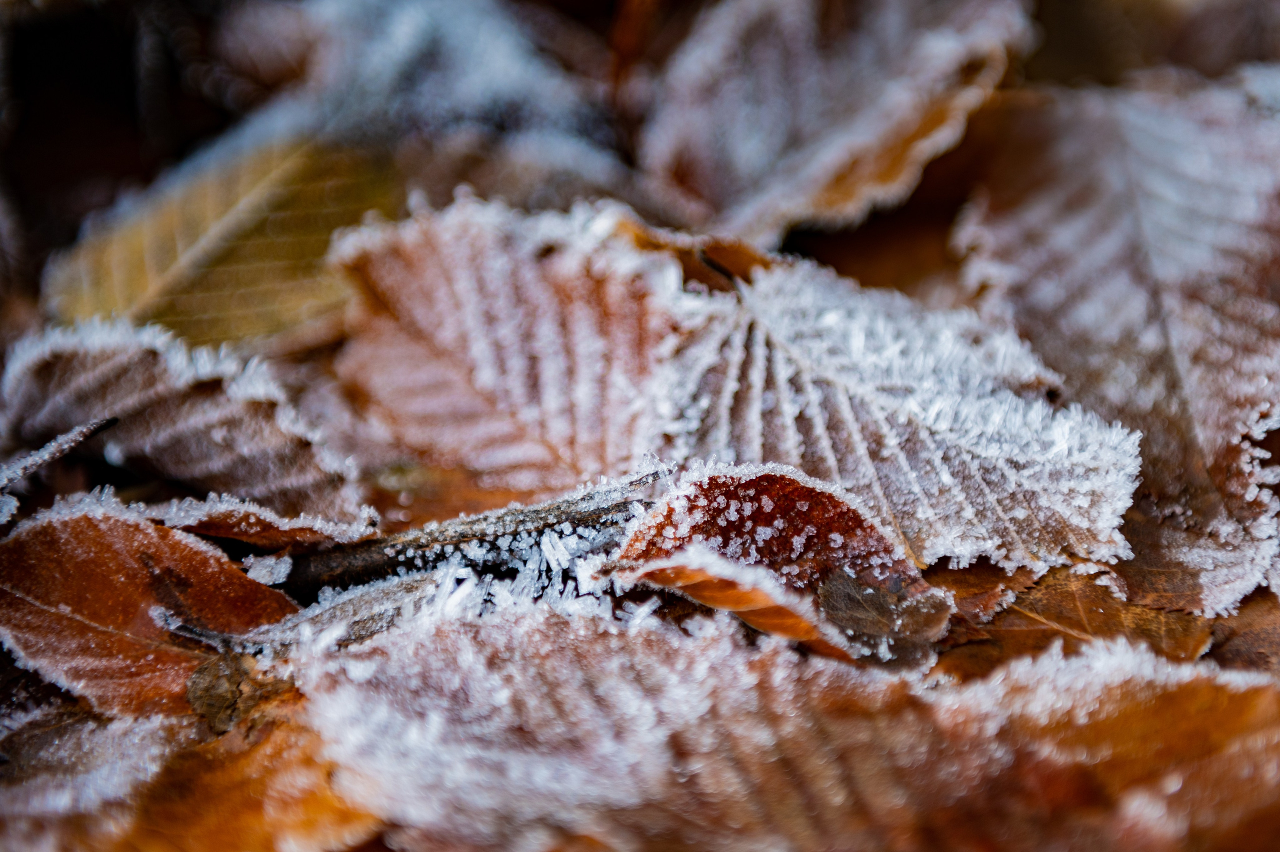 Mice мероприятие — прогулка на водопад Поликаря на курорте Красная Поляна. Репортажный фотограф в Красной Поляне и Сочи Павлюченко Екатерина