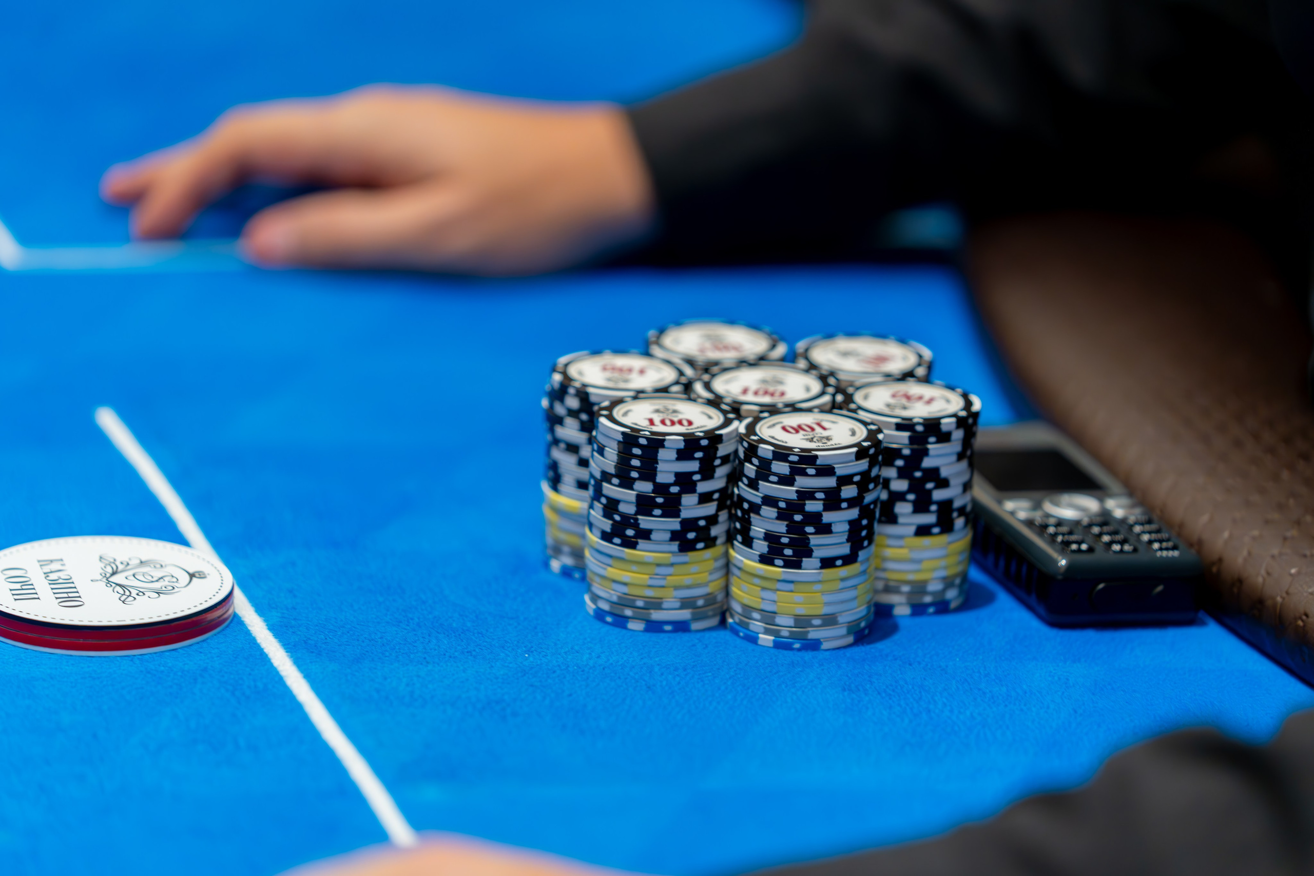 MICE мероприятие для компании «Базис». Репортажный фотограф в Красной Поляне и Сочи Павлюченко Екатерина