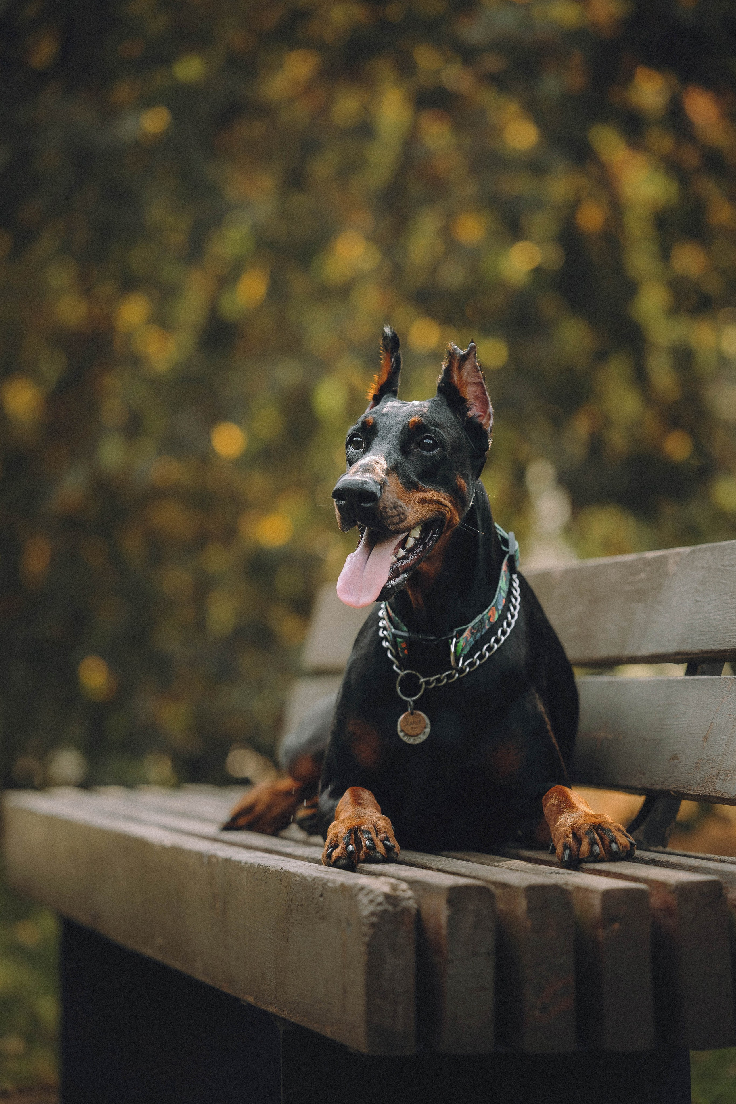 Паша и Хайди