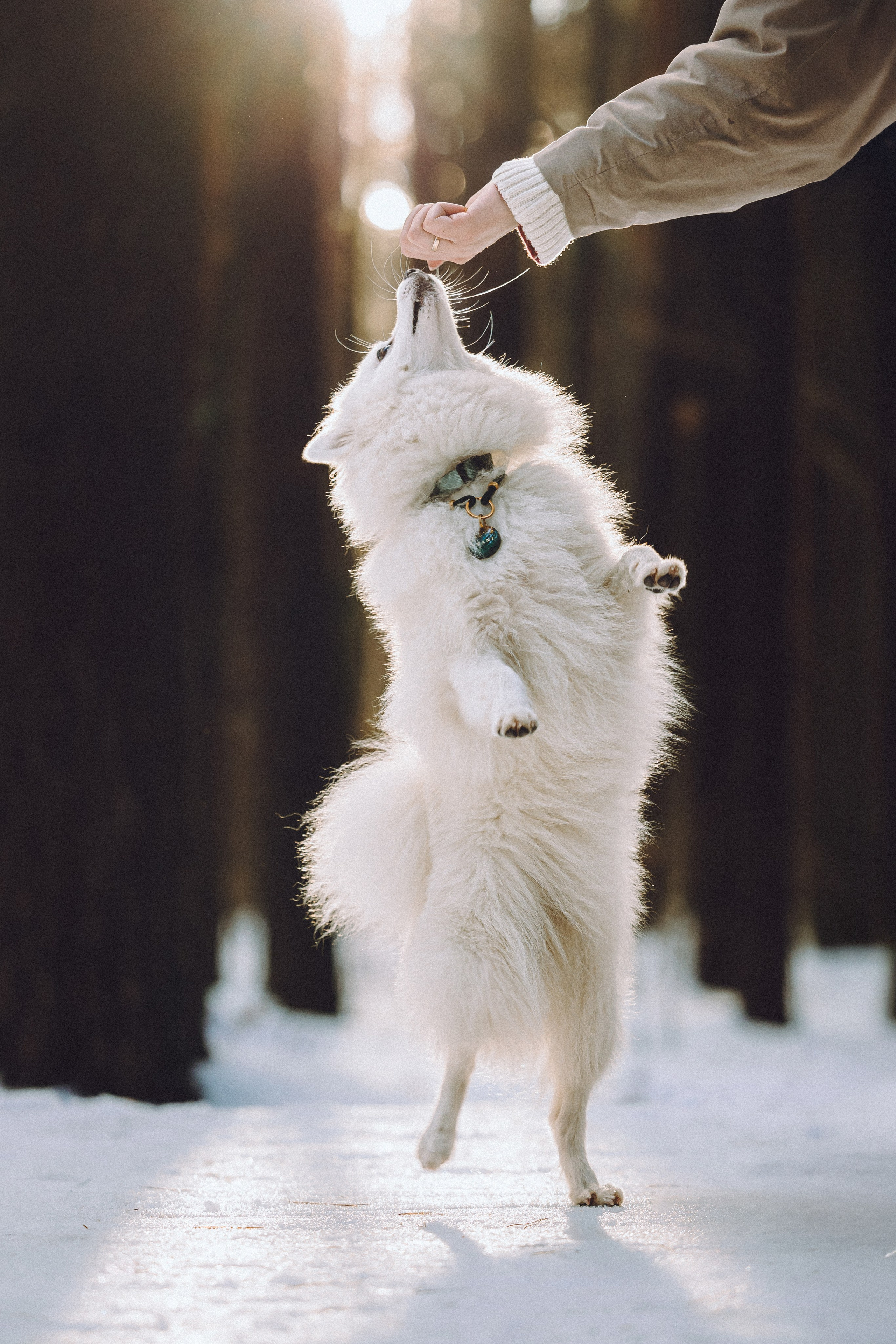 Шани и ее семья