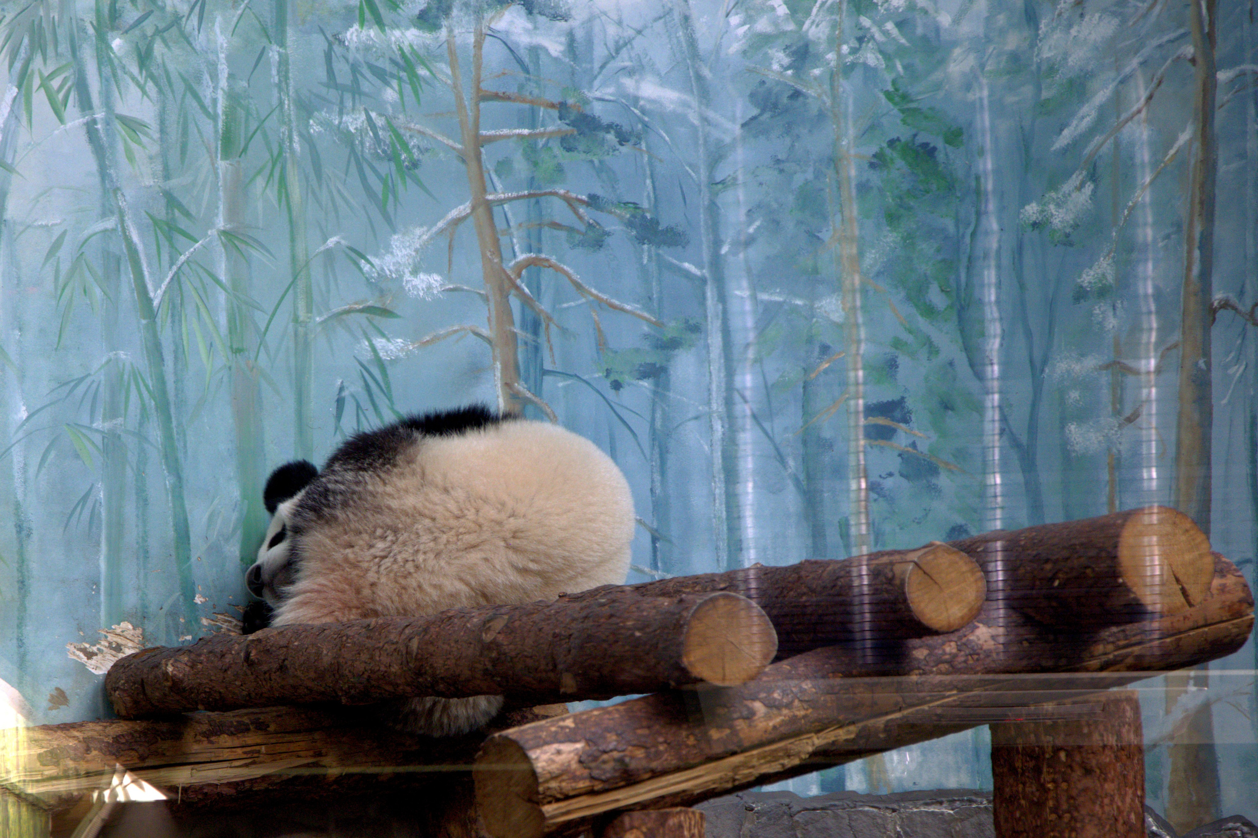 ЗООПАРК. ФОТОГРАФ В МОСКВЕ СТАНИСЛАВ КОБЗЕВ