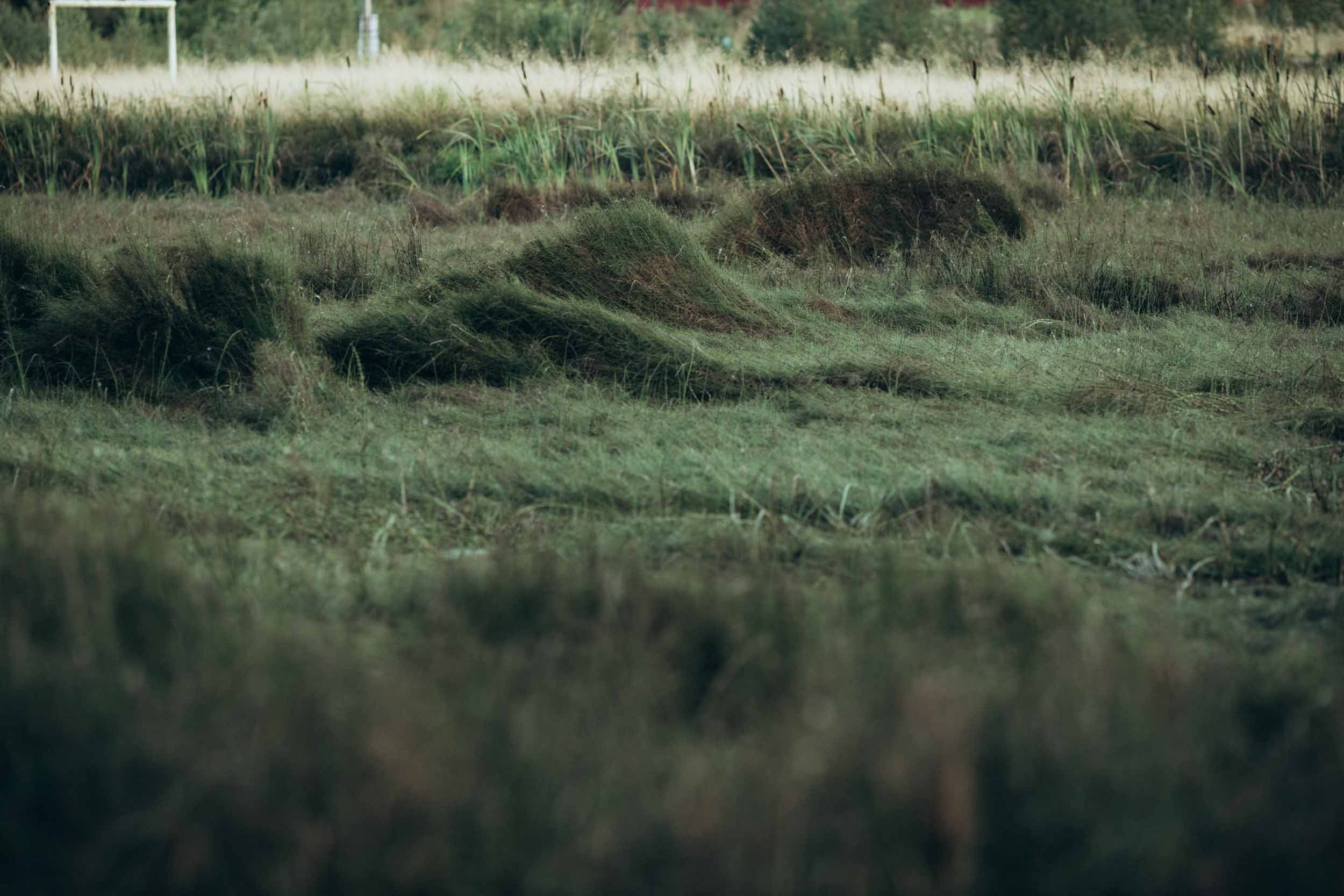 Природные пейзажи. Наталия Клевинскас портретный фотограф в Костроме