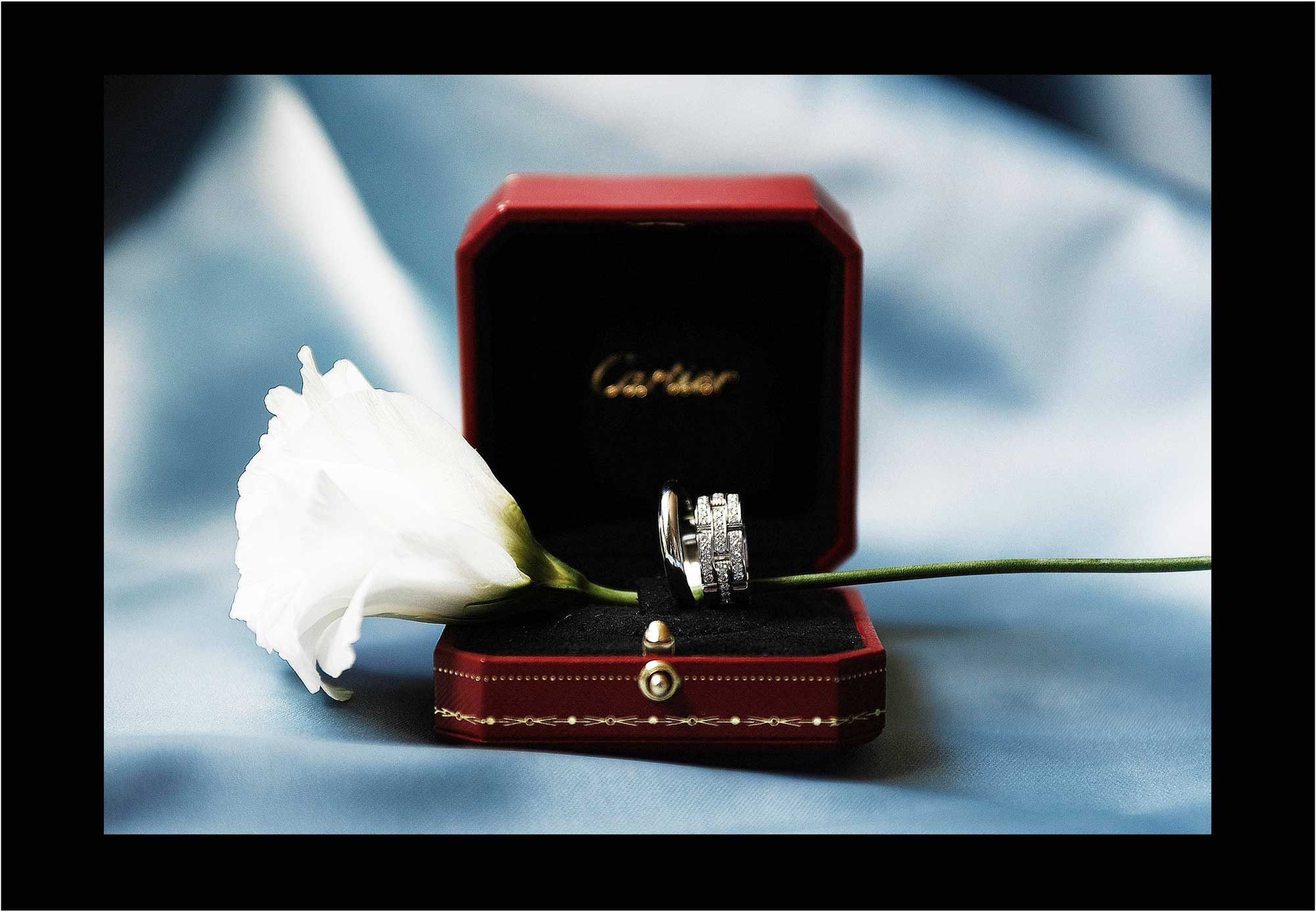 Дмитрий Лившиц - фотограф. Москва