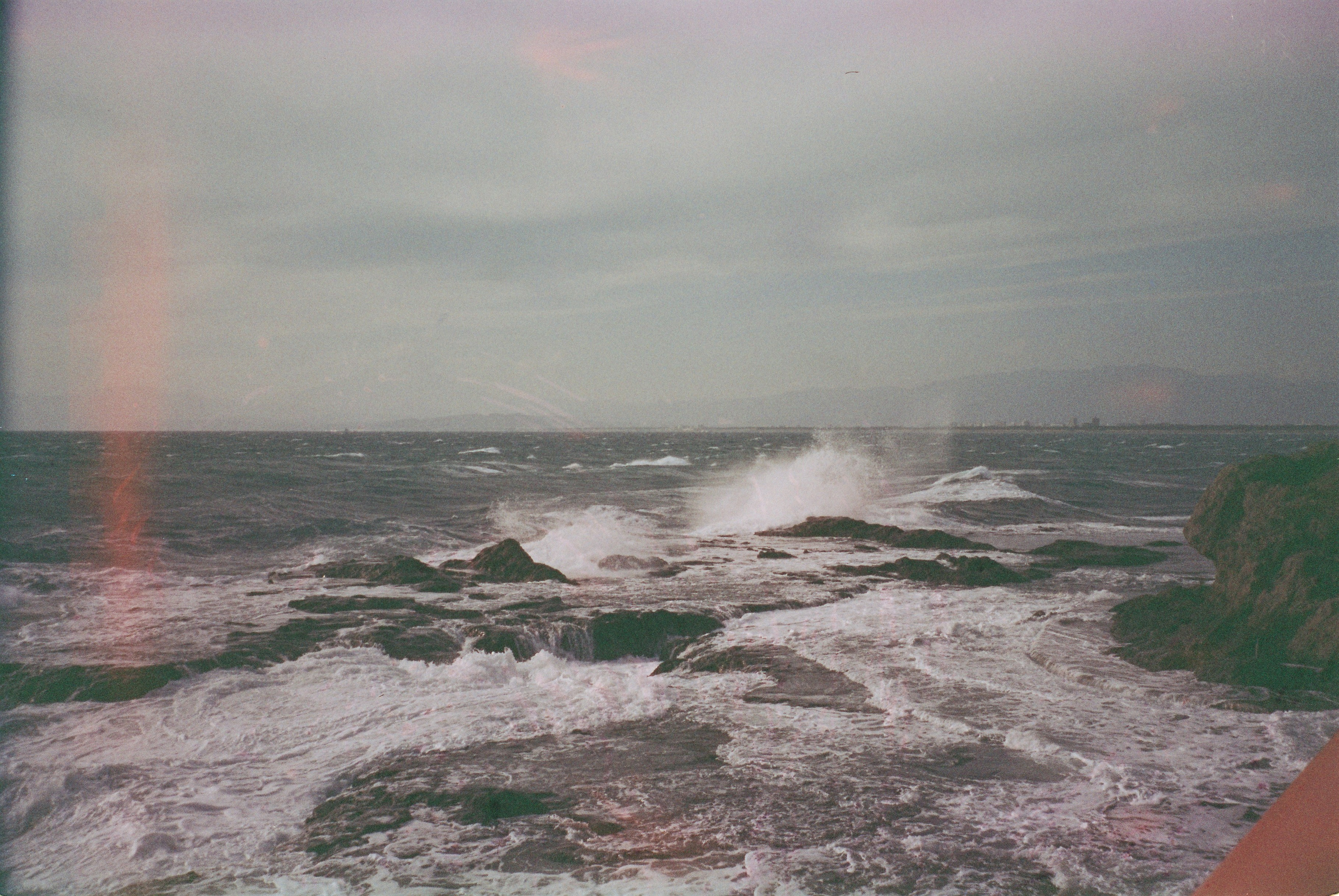 Пленка. Фотограф Алина Диева Москва | Токио