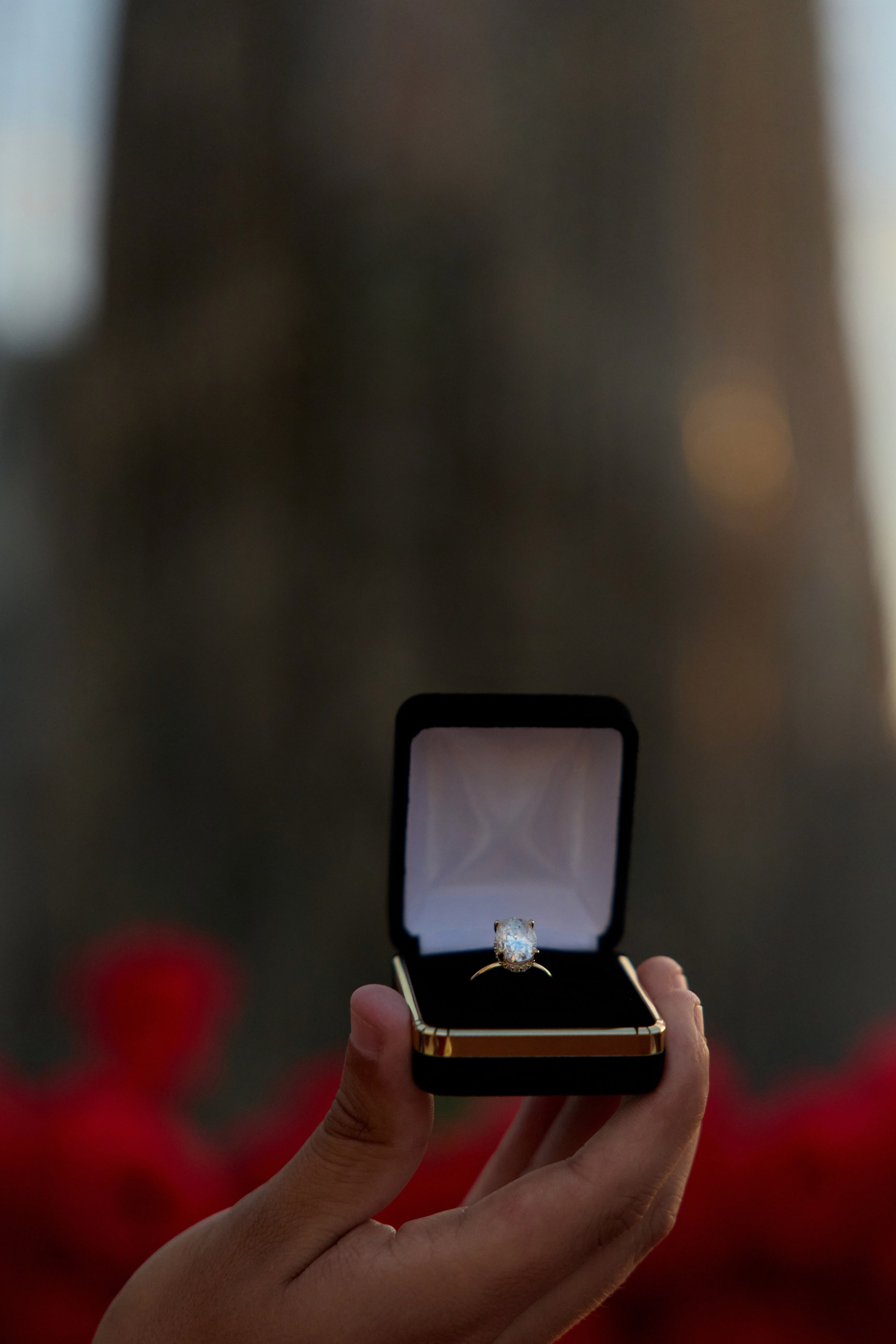 Proposal Sagrada Familia. Photographer & Videographer in Barcelona
