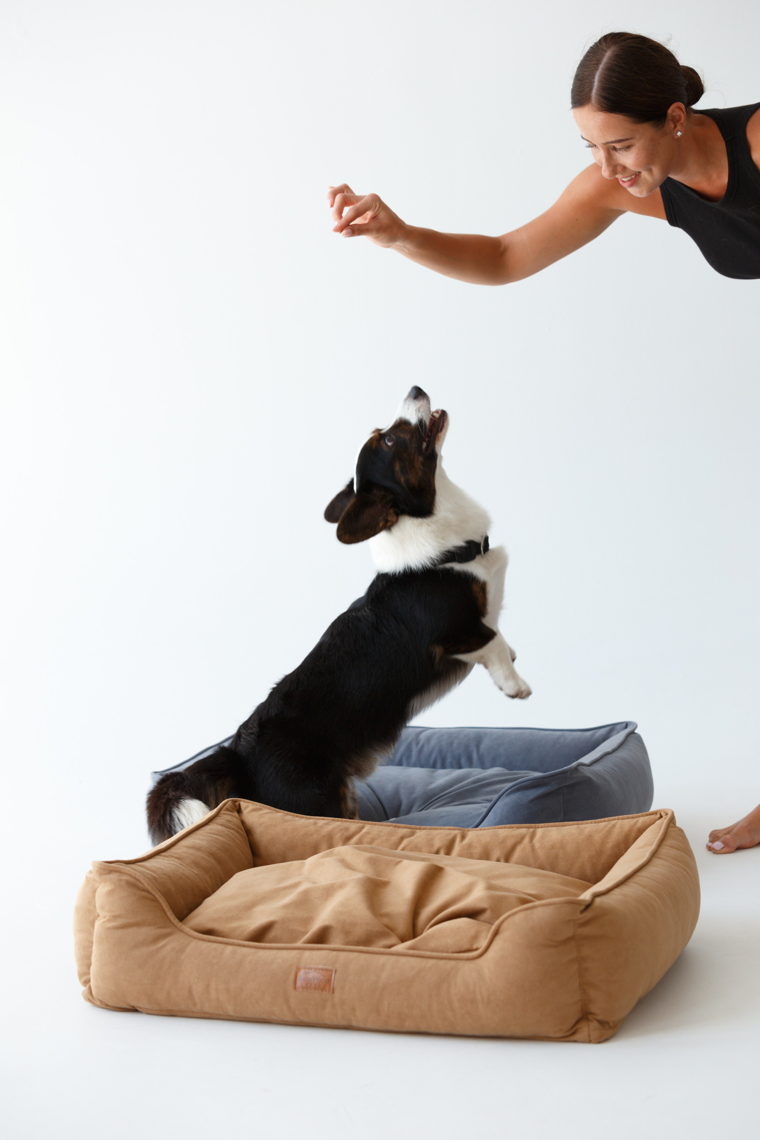 Boonwood Pets лежанки для животных. Фотограф анималист Кристина Карпова, Москва