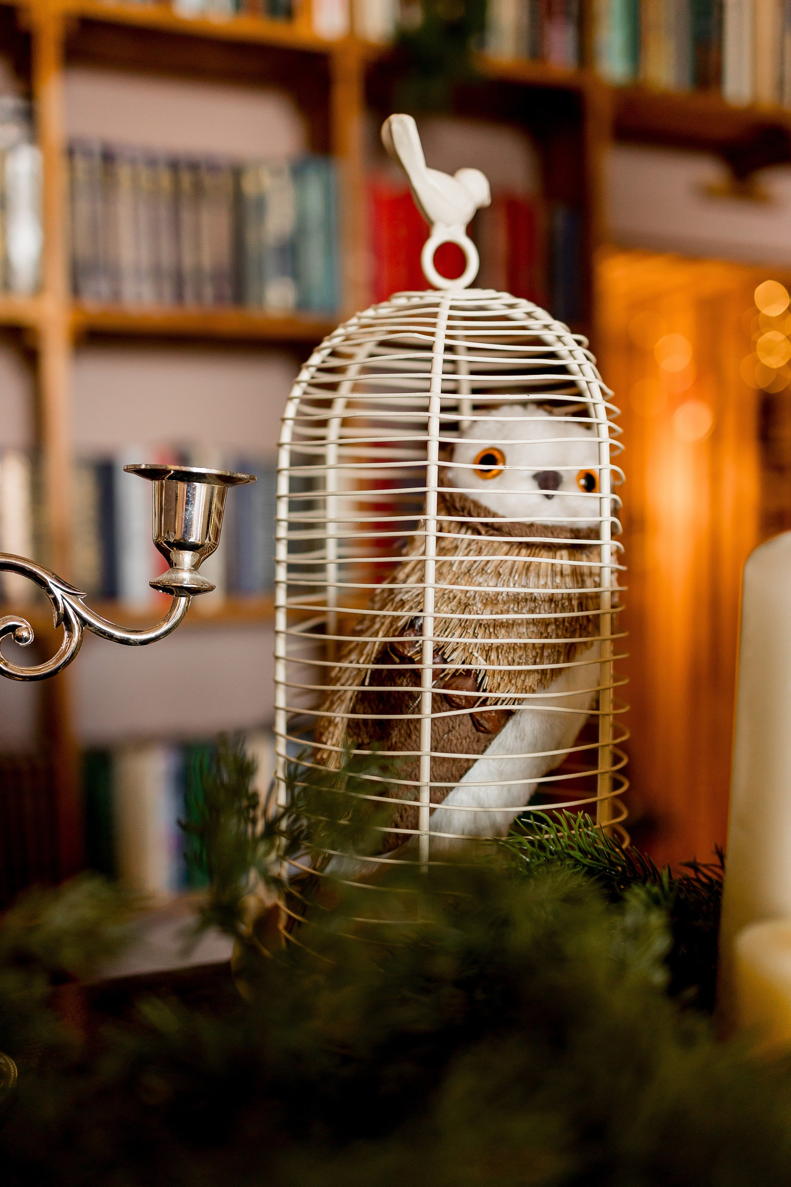 Малый (ДЕТСКИЙ). Фотостудия ЭМБЕР город Артём