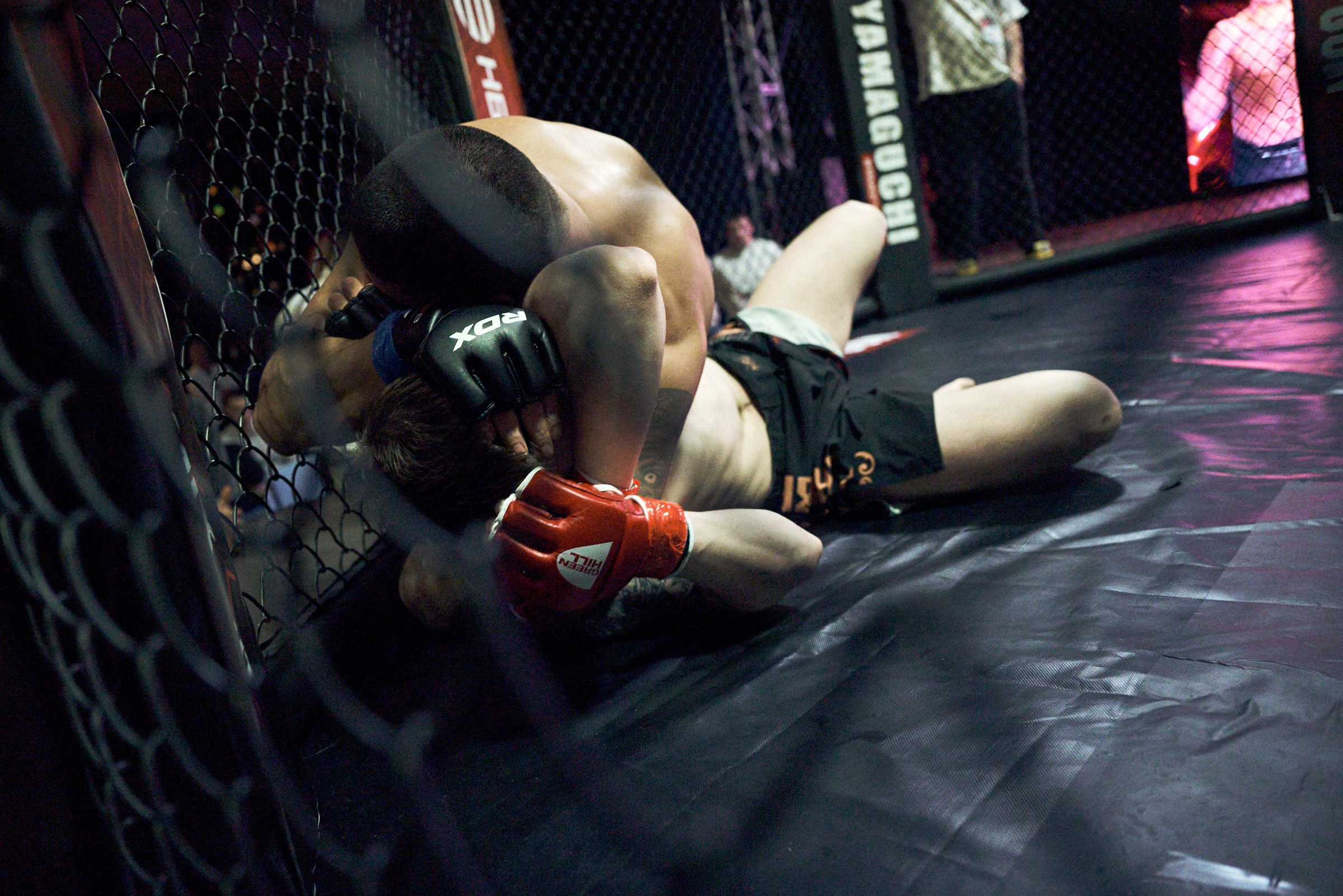 Бои. Маляревич Дмитрий свадебный фотограф