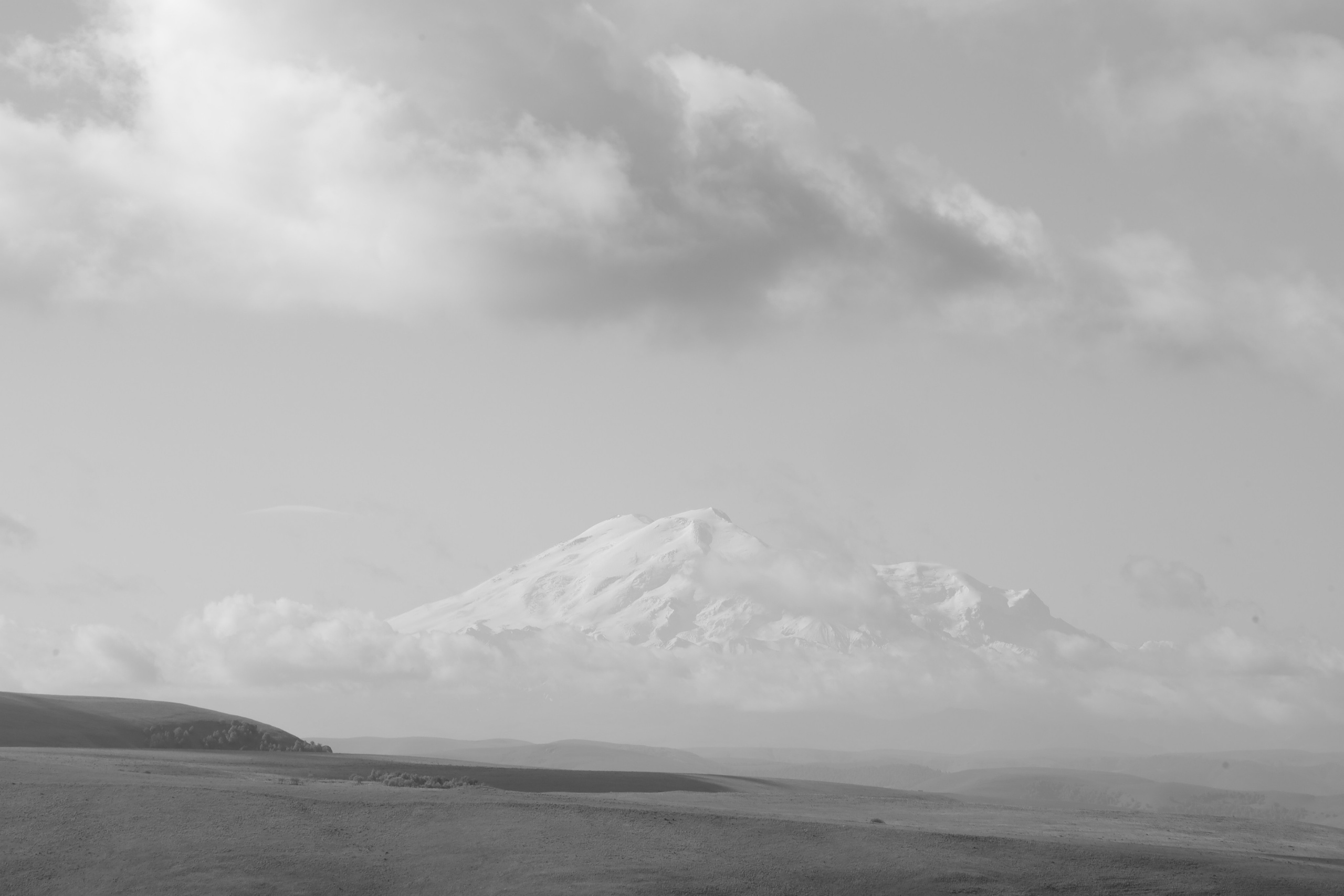 Отзывы. Фотограф Алёна Мирзатуллаева